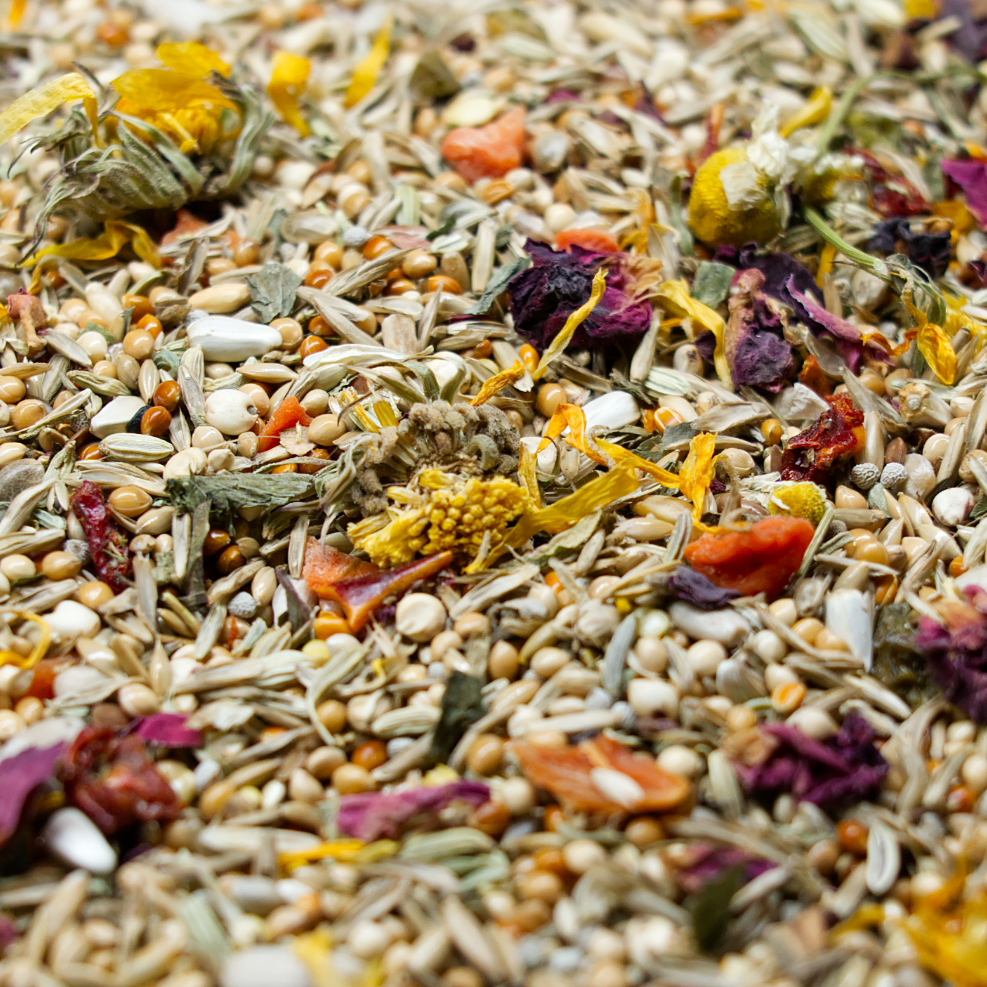 grosssittich-kleinpapagei-premium-mischung-nah-vogelfutter