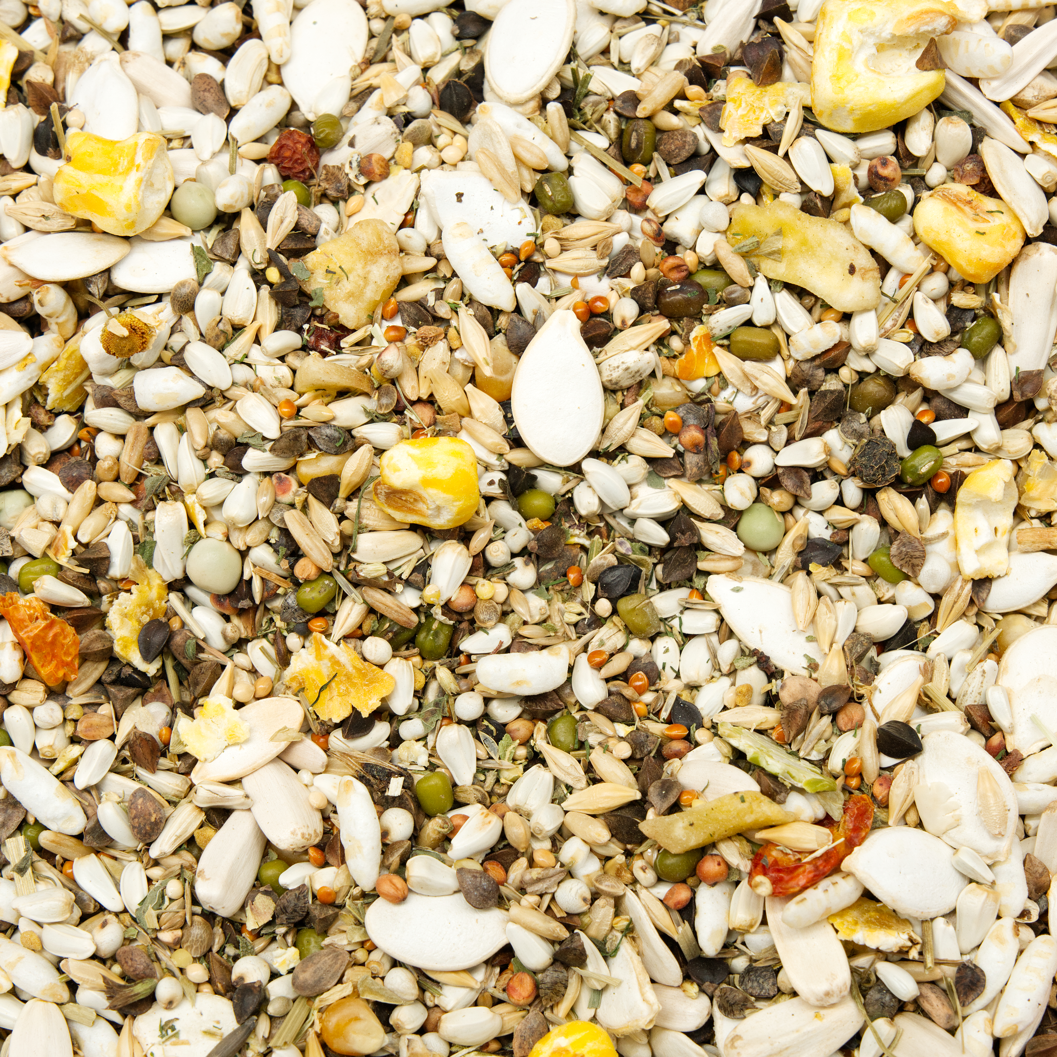 papageien_kraeuterwohl_koernerbude_papageienfutter