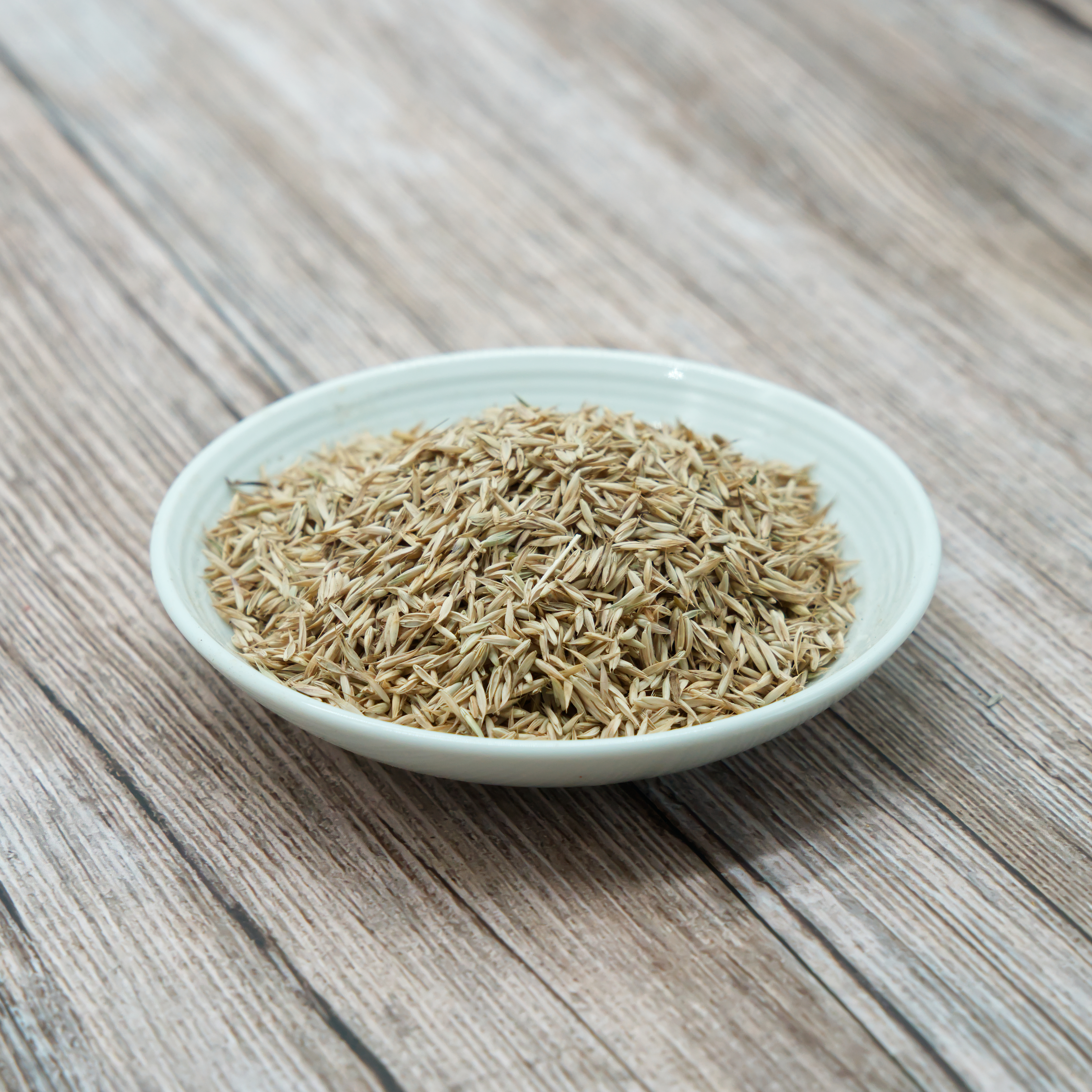 knaulgras-einzelfutter-fuer-v-gel-koernerbude Knaulgras