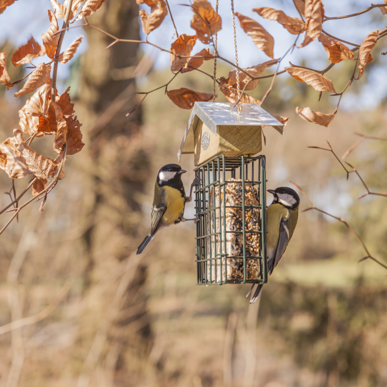 FB292_41 Fettblockhalter