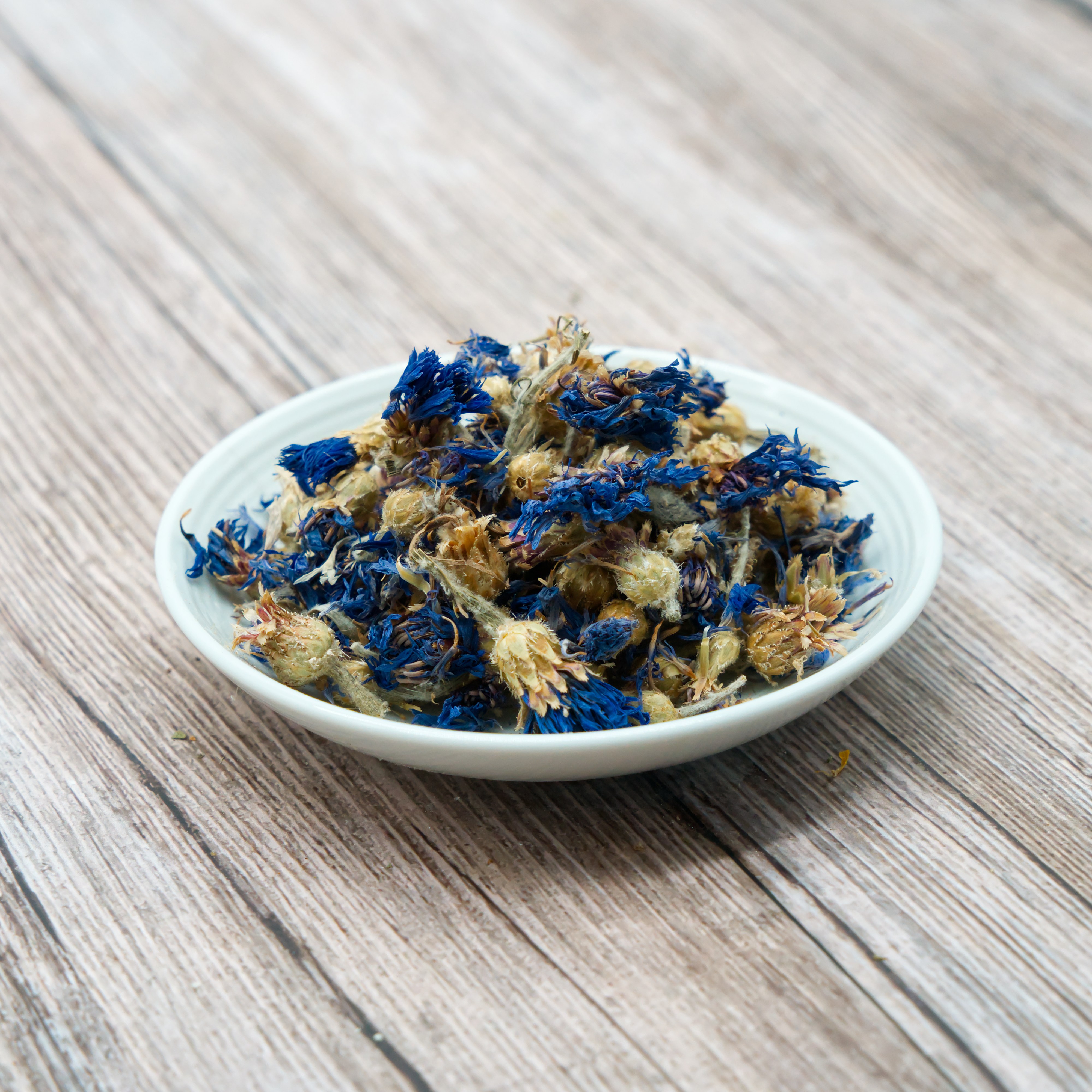 kornblumen-blau-einzelfutter-fuer-voegel-koernerbude Kornblumenblüten mit Kelch, blau