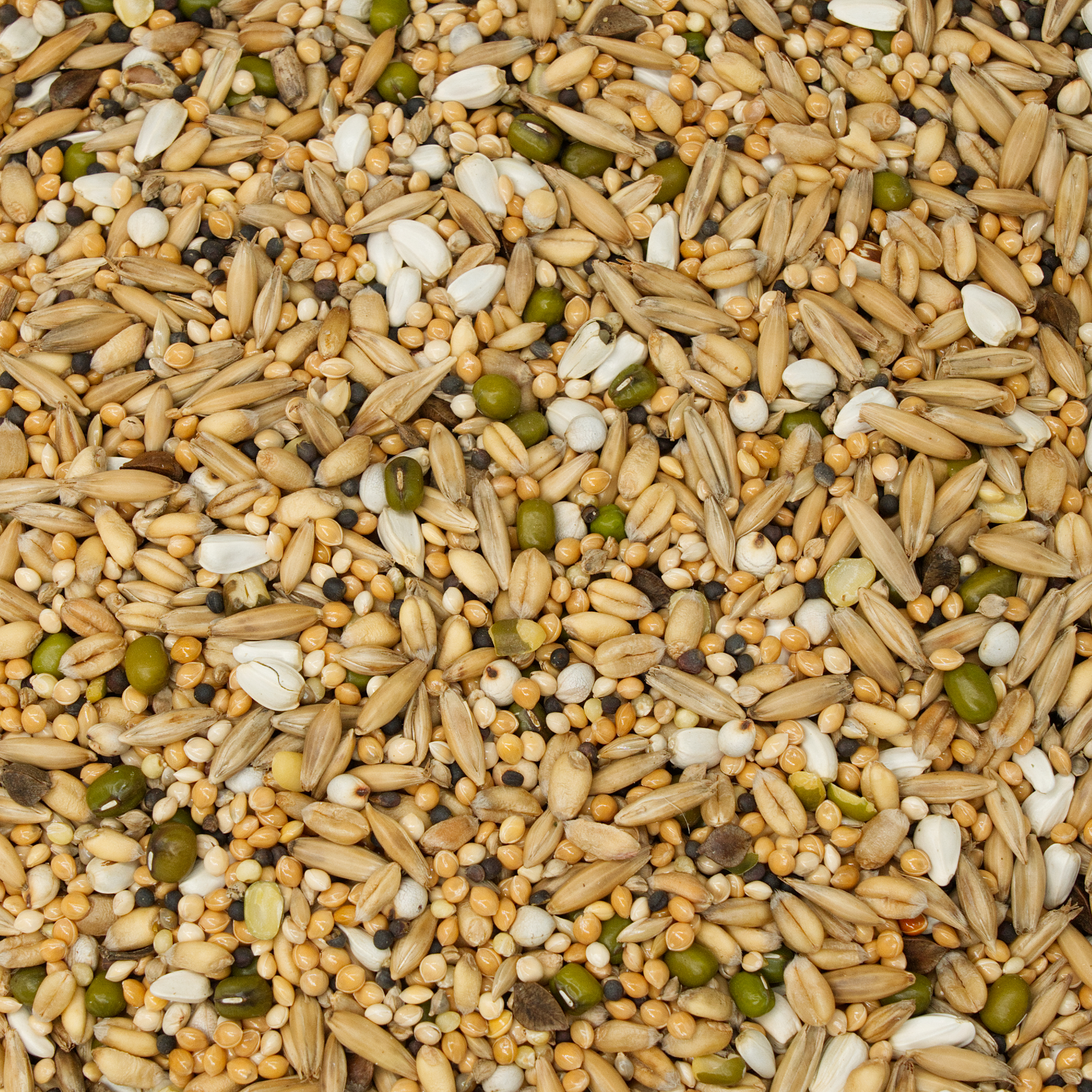 Keimfutter für Sittiche und Exoten