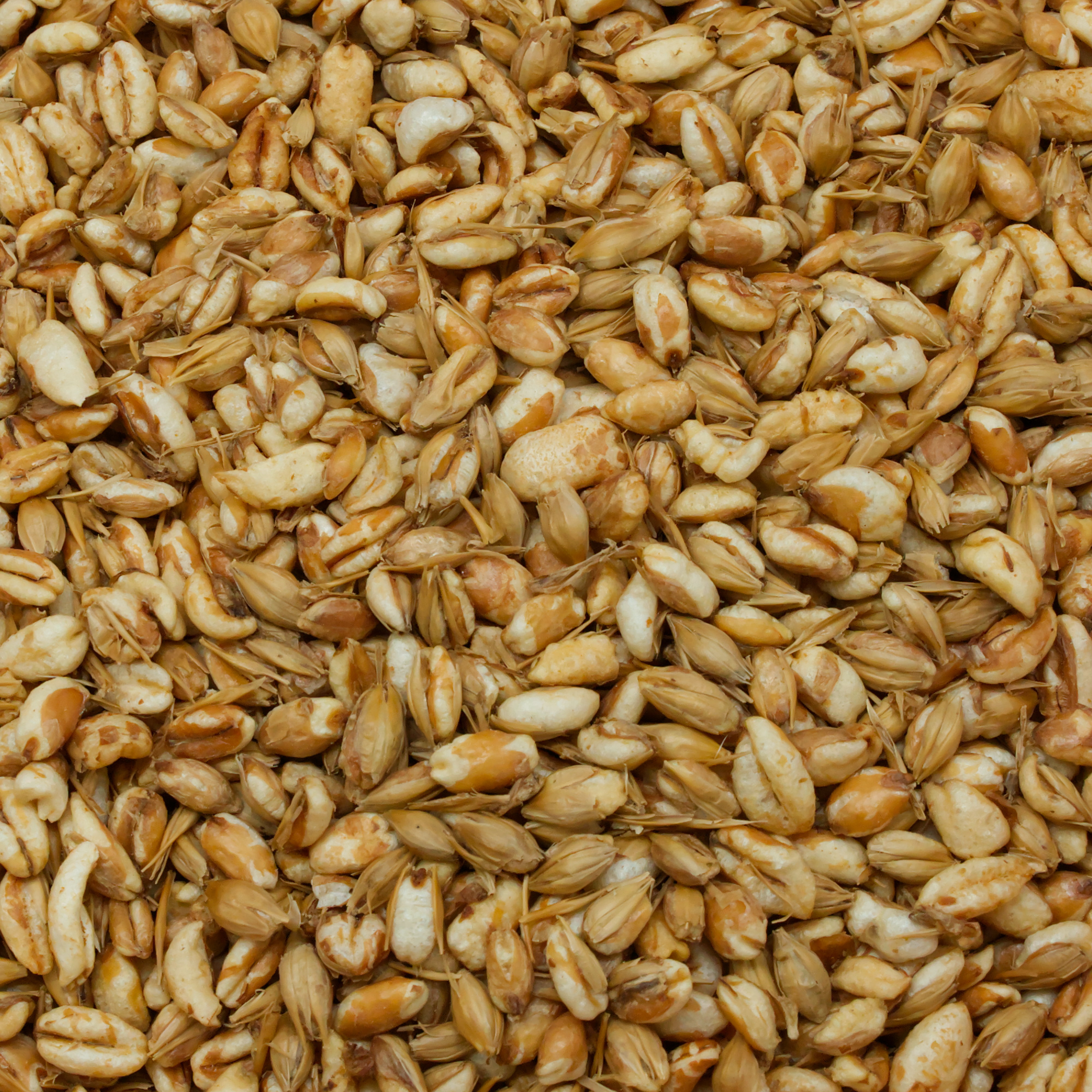 gerste-gepufft-einzelfutter-fuer-voegel-koernerbude1 Gerste, gepufft