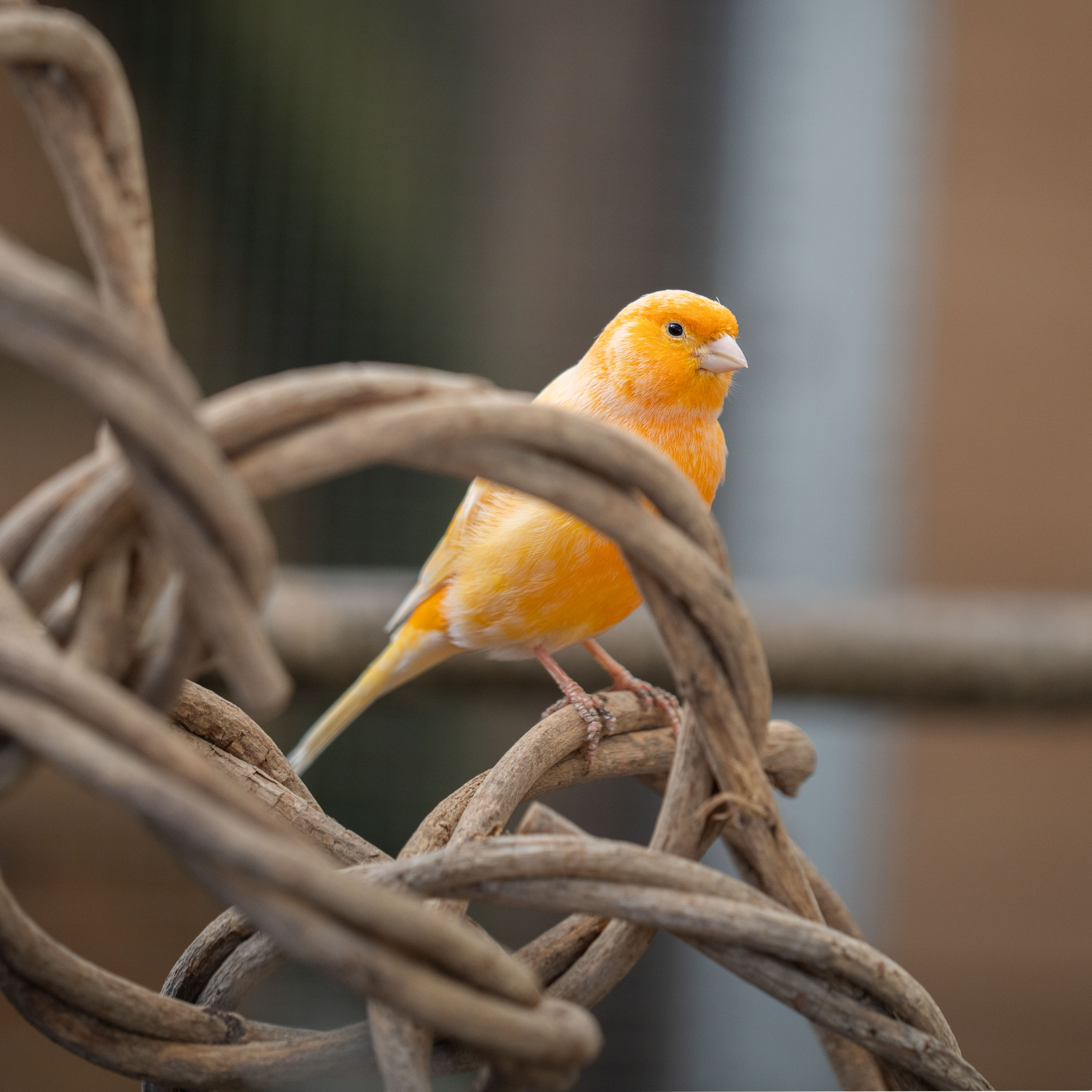 DSC05966ucdLpI7dTQTjT