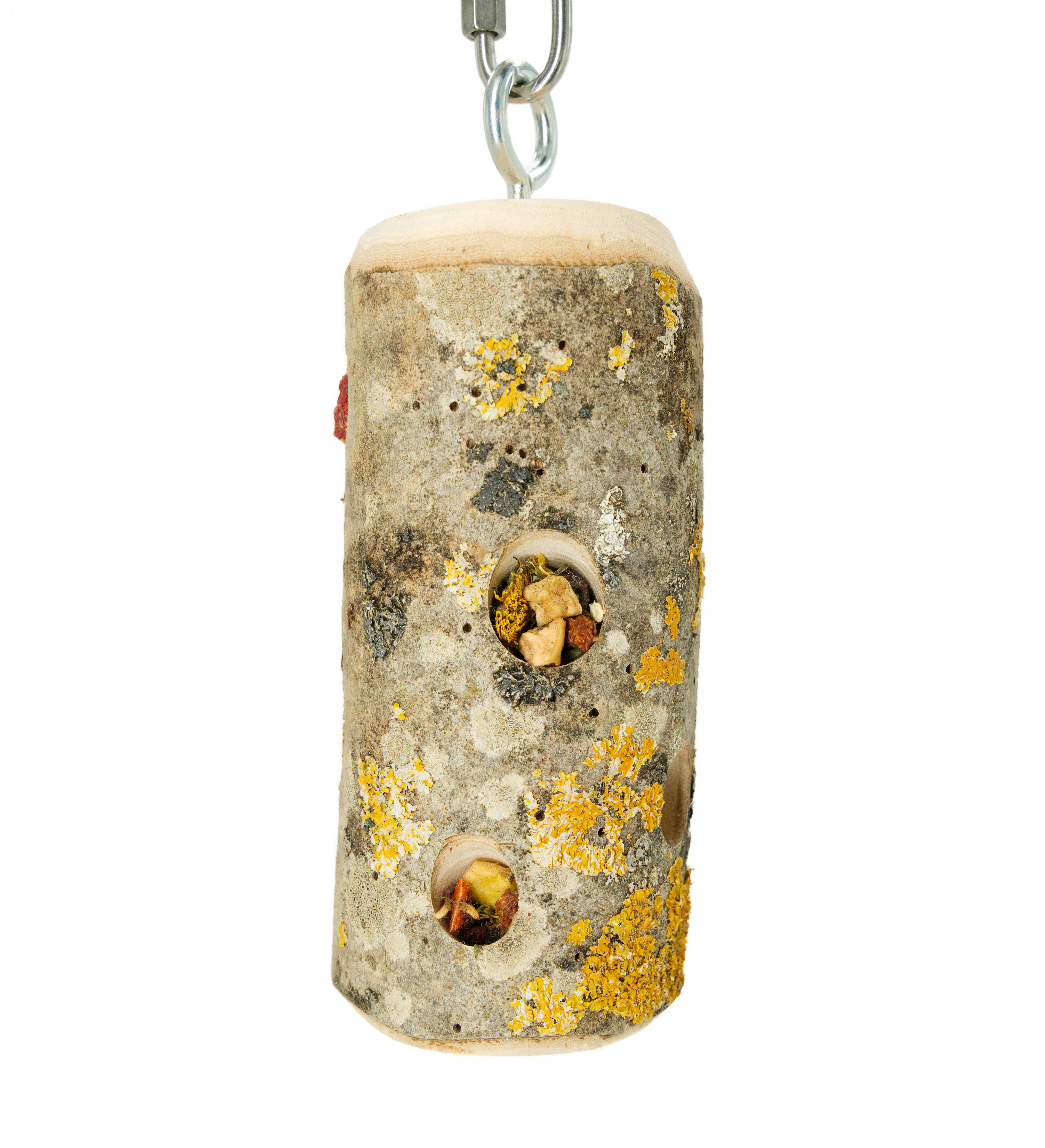 foarging_stamm_rolle_fuer_papageien_koernerbude1 Foraging Stamm Rolle für Papageien