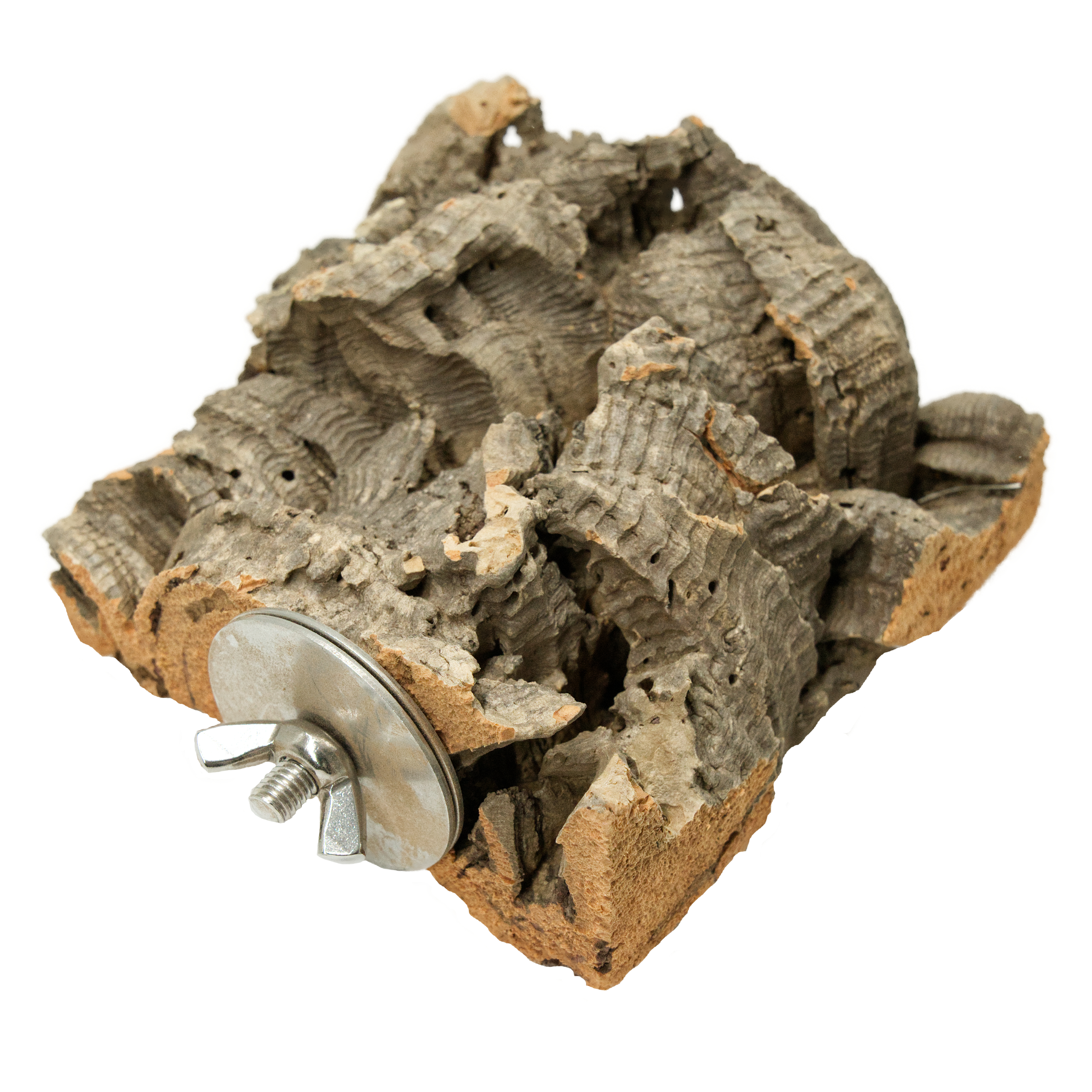 kork_pick_korksitzbrett_fuer_voegel_koernerbude Kork Pick ca. 13 x 10 cm