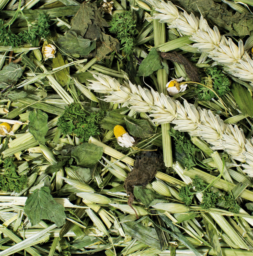 JR FARM Kräutergarten 100g