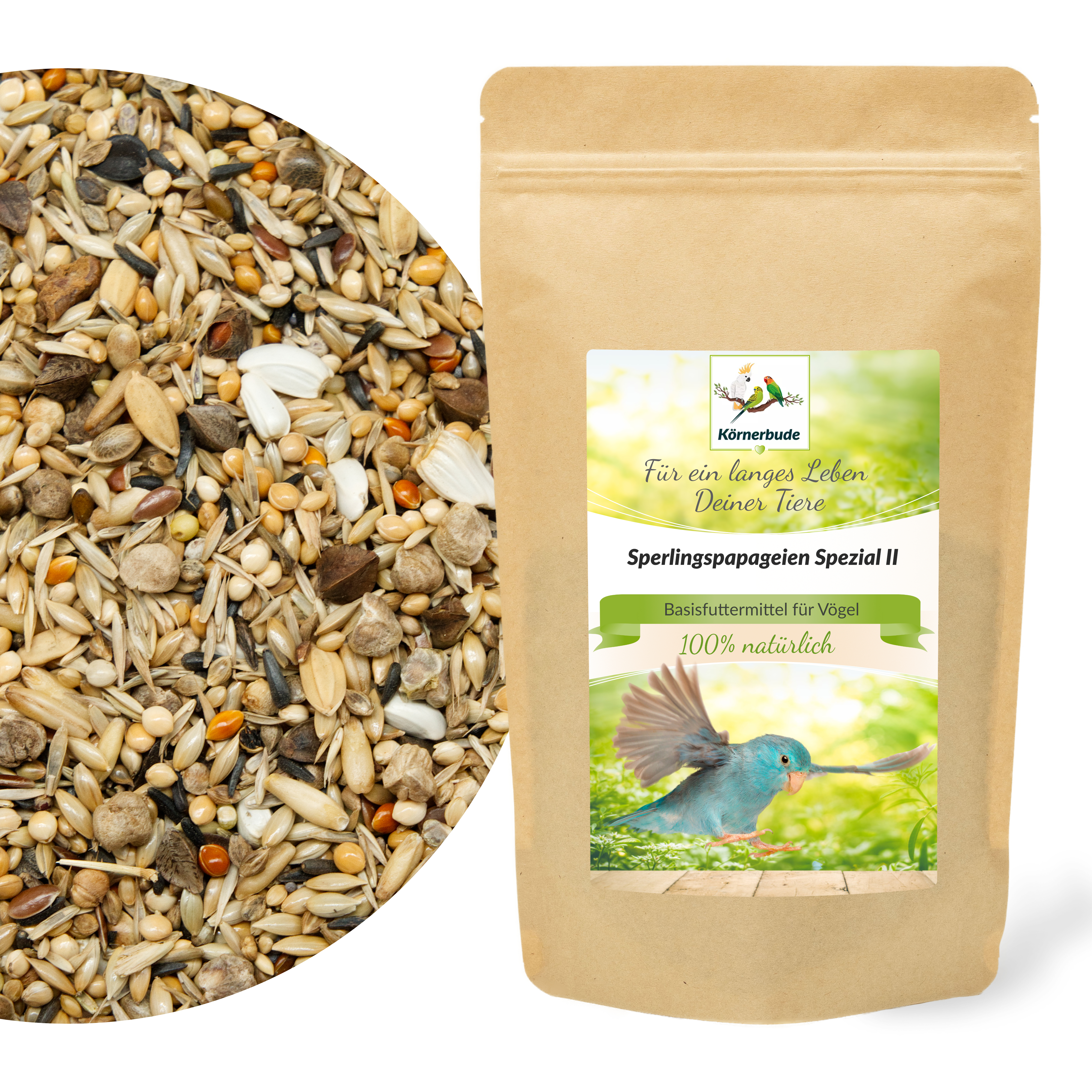 sperlingspapageien_2_sperlingspapageienfutter_koernerbude_shop Sperlingspapageien Spezial II