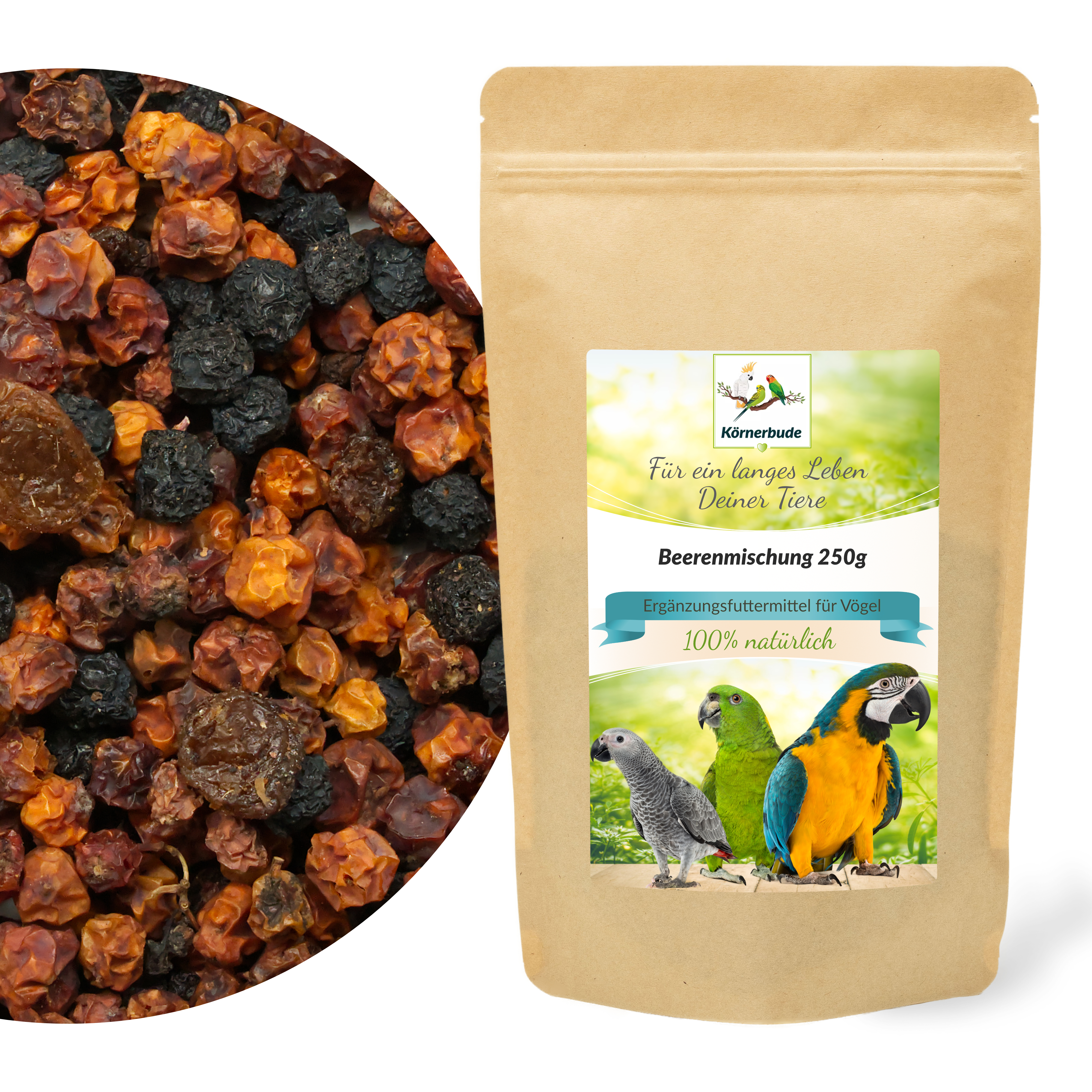 beeren_mischung_fuer_voegel_koernerbude1 Beerenmischung