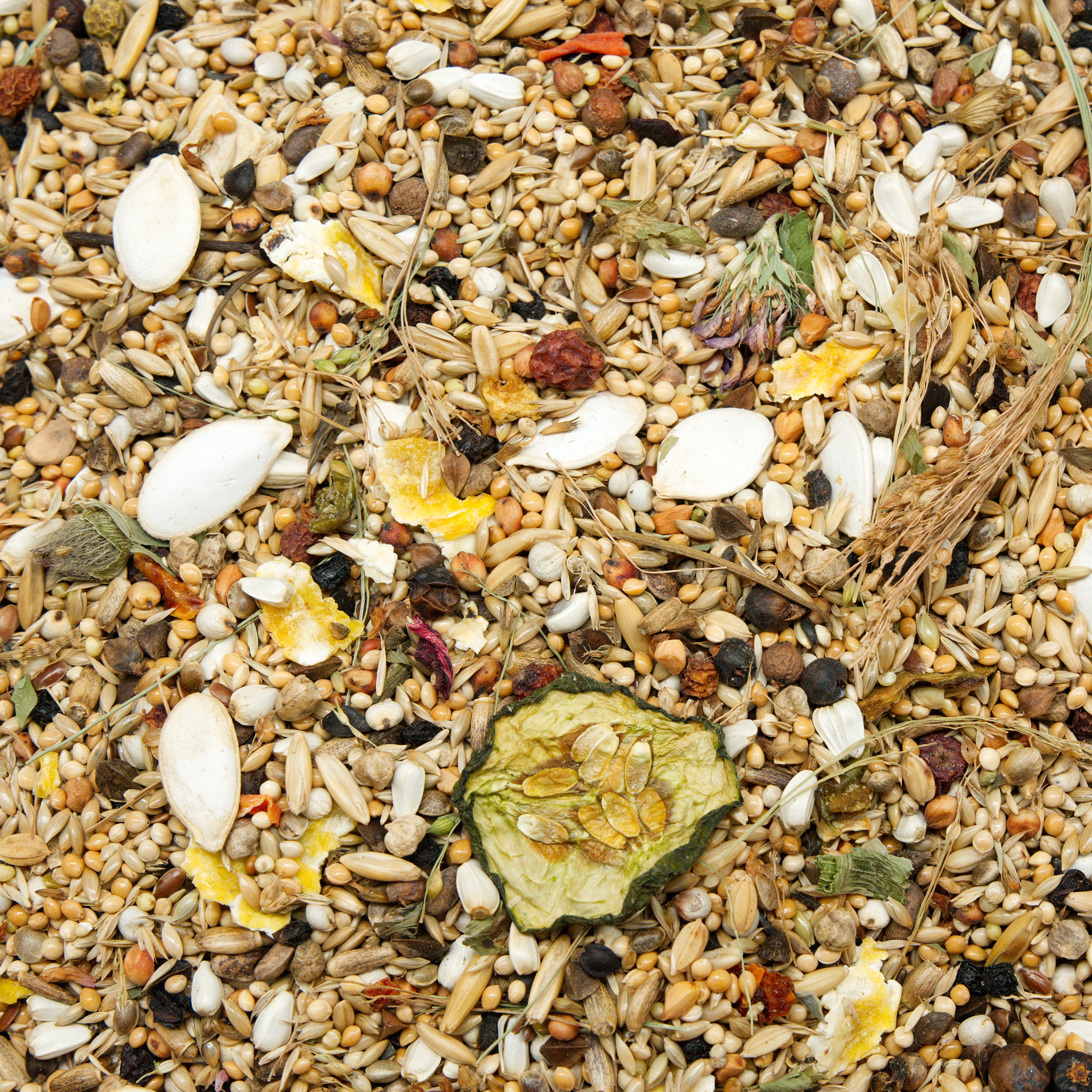 Jehl Rosakakadufutter - Original -