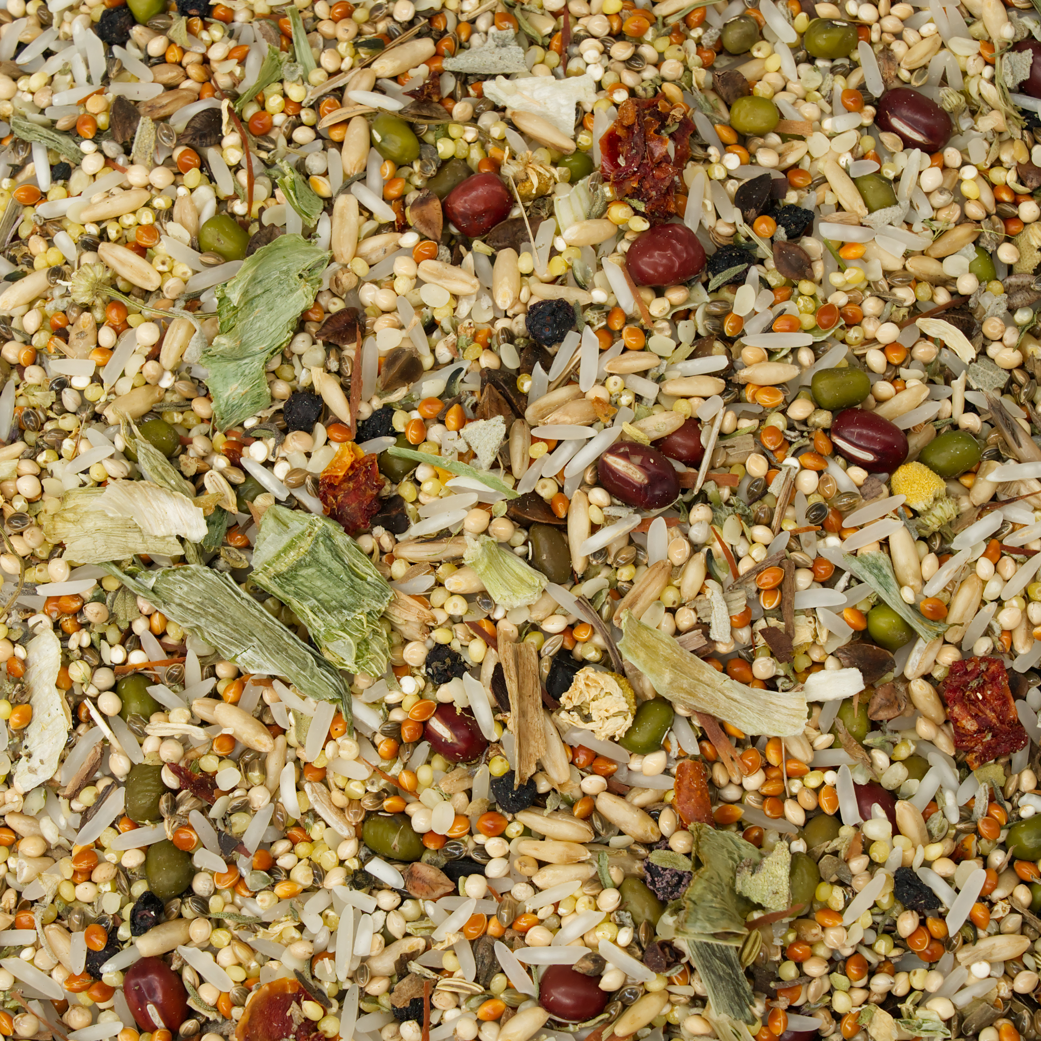 kochfutter_megabakterien_fuer_wellensittiche_sittiche_kanarien_koernerbude