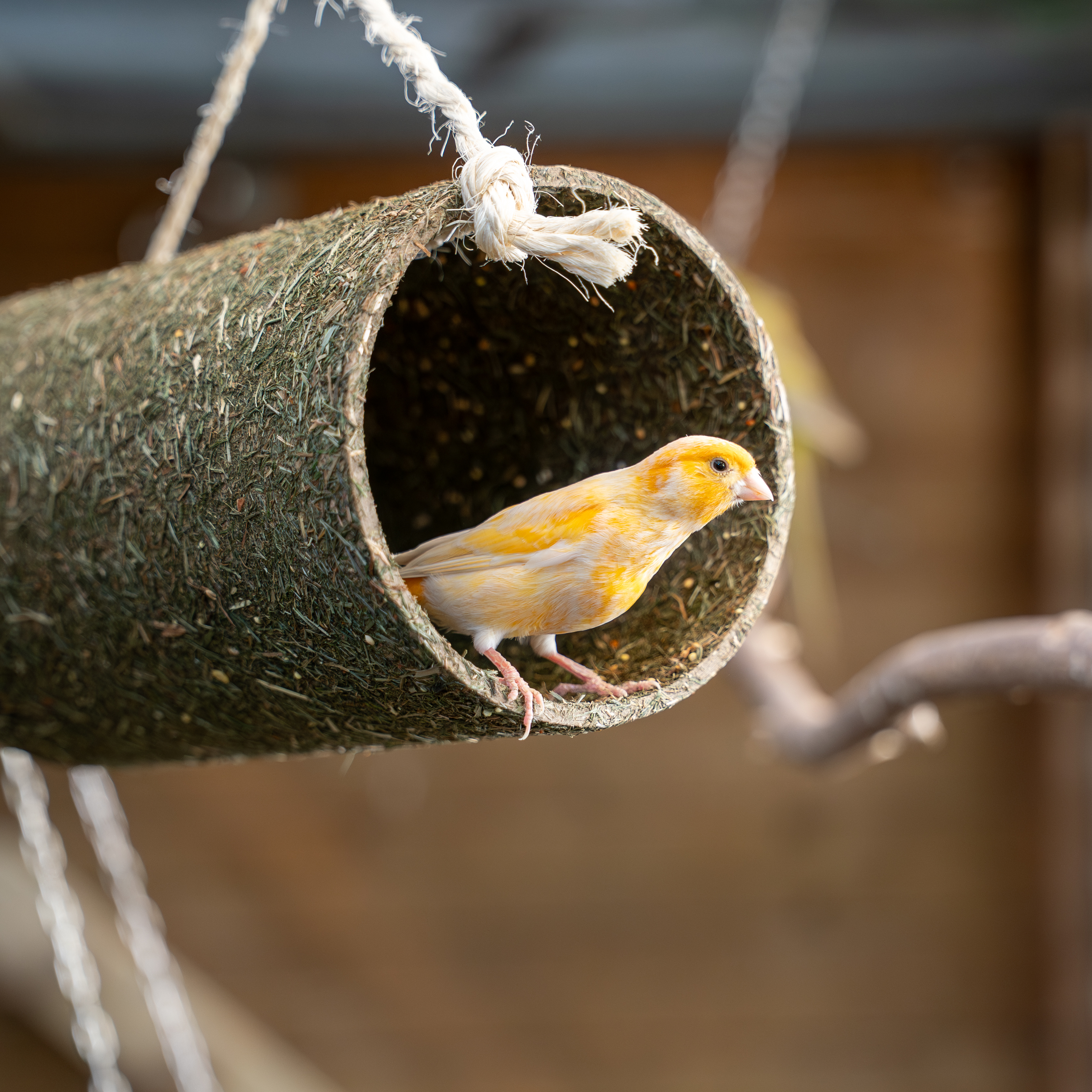 JR Birds Pick-Tunnel 380 g