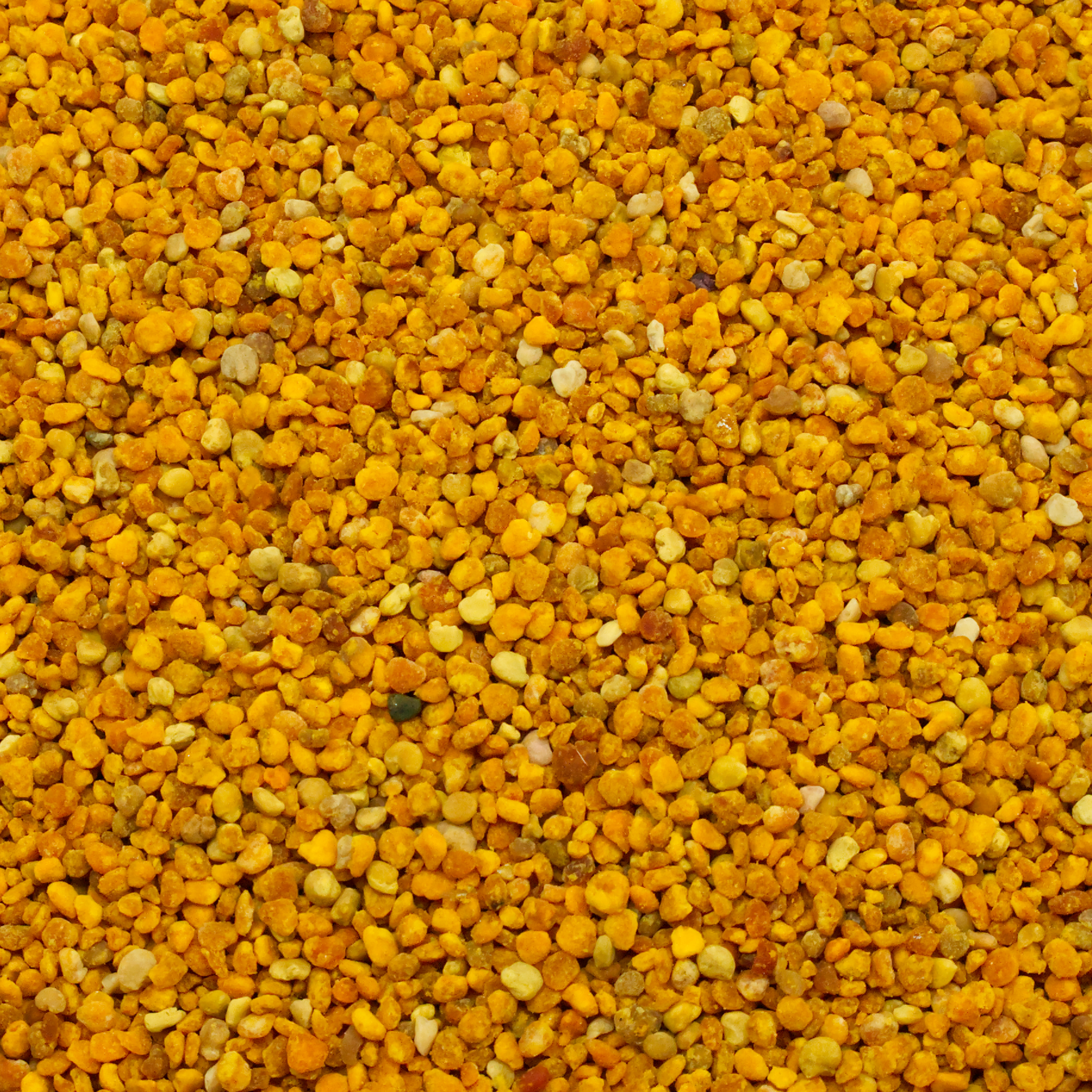 bluetenpollen-einzelfutter-fuer-voegel-koernerbude Blütenpollen, 100g