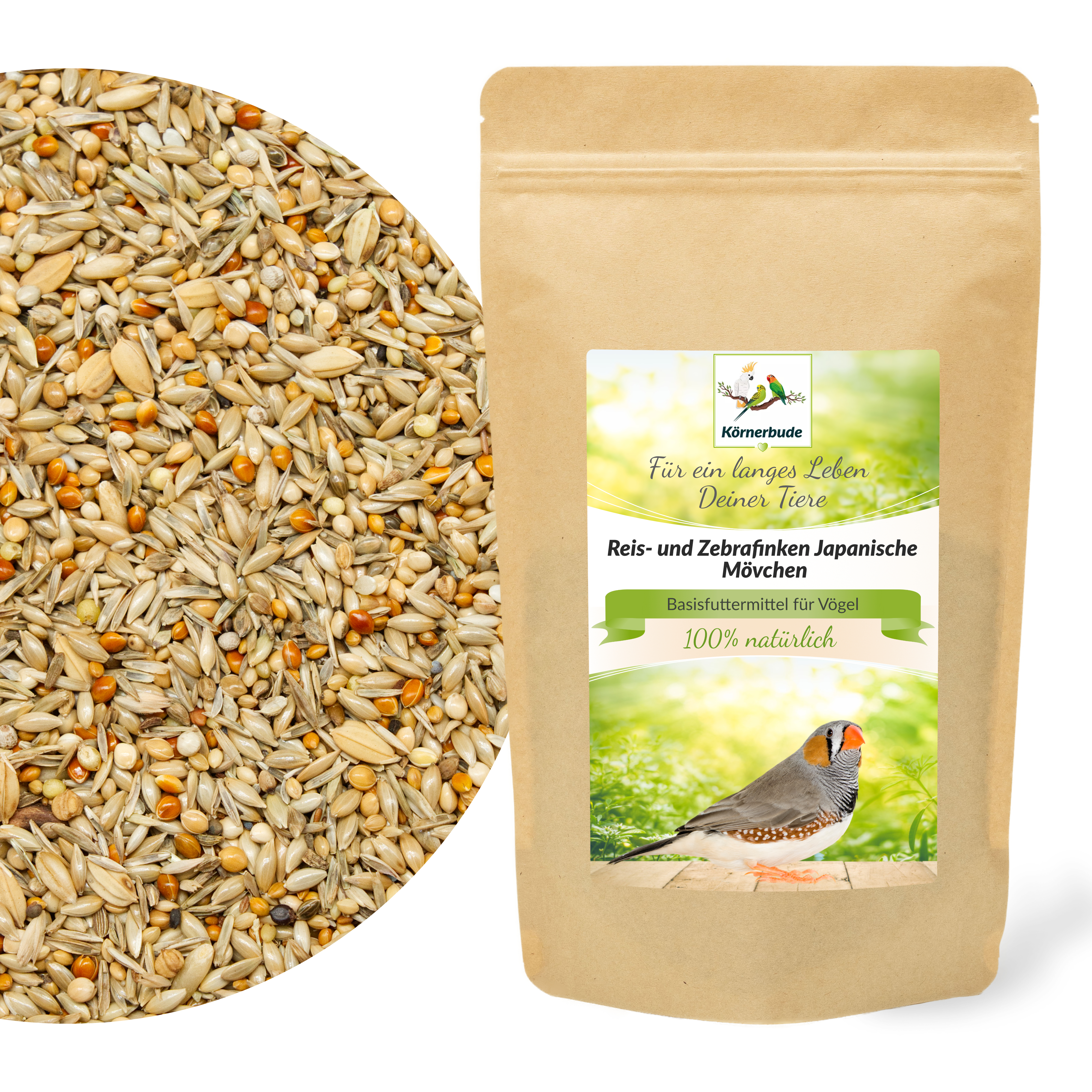 reisfinken_zebrafinken_finkenfutter_koernerbude_shopbilder Reis- und Zebrafinken Japanische Mövchen
