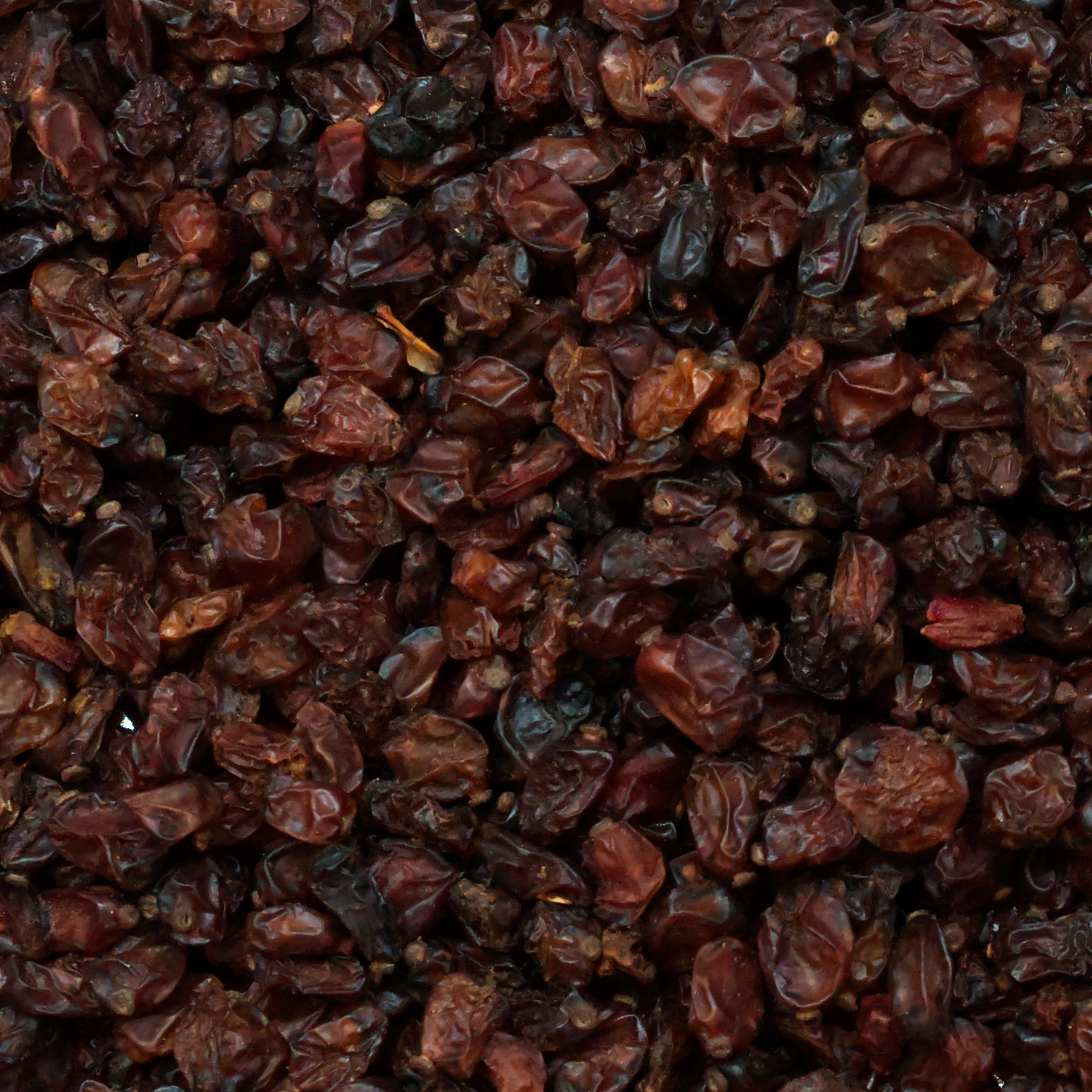 berberitzen-einzelfutter-koernerbude-voegel1 Berberitzenfrüchte, Sauerdorn