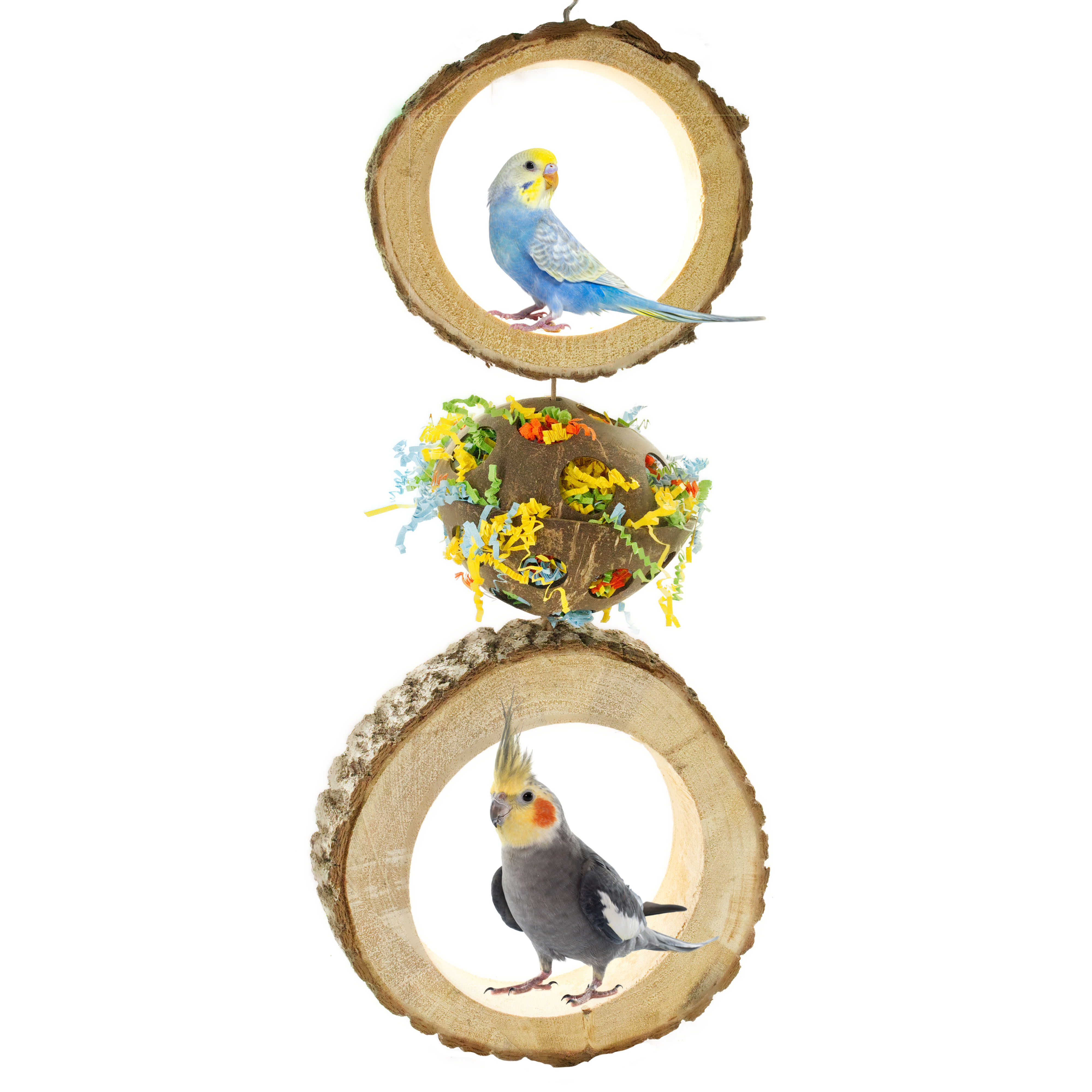 knabberring_schaukelduo_fuer_sittiche_und_kleinpapageien_wellensittich_nymphensittich_koernerbude1