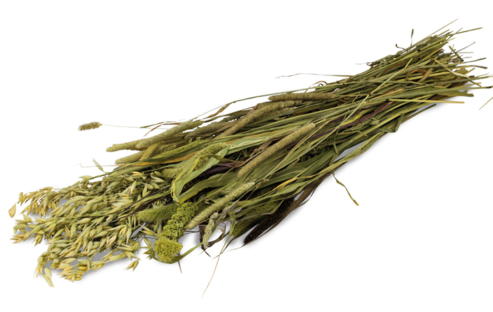 JR FARM Wiesen-Ernte Ein Stück Natur 80g