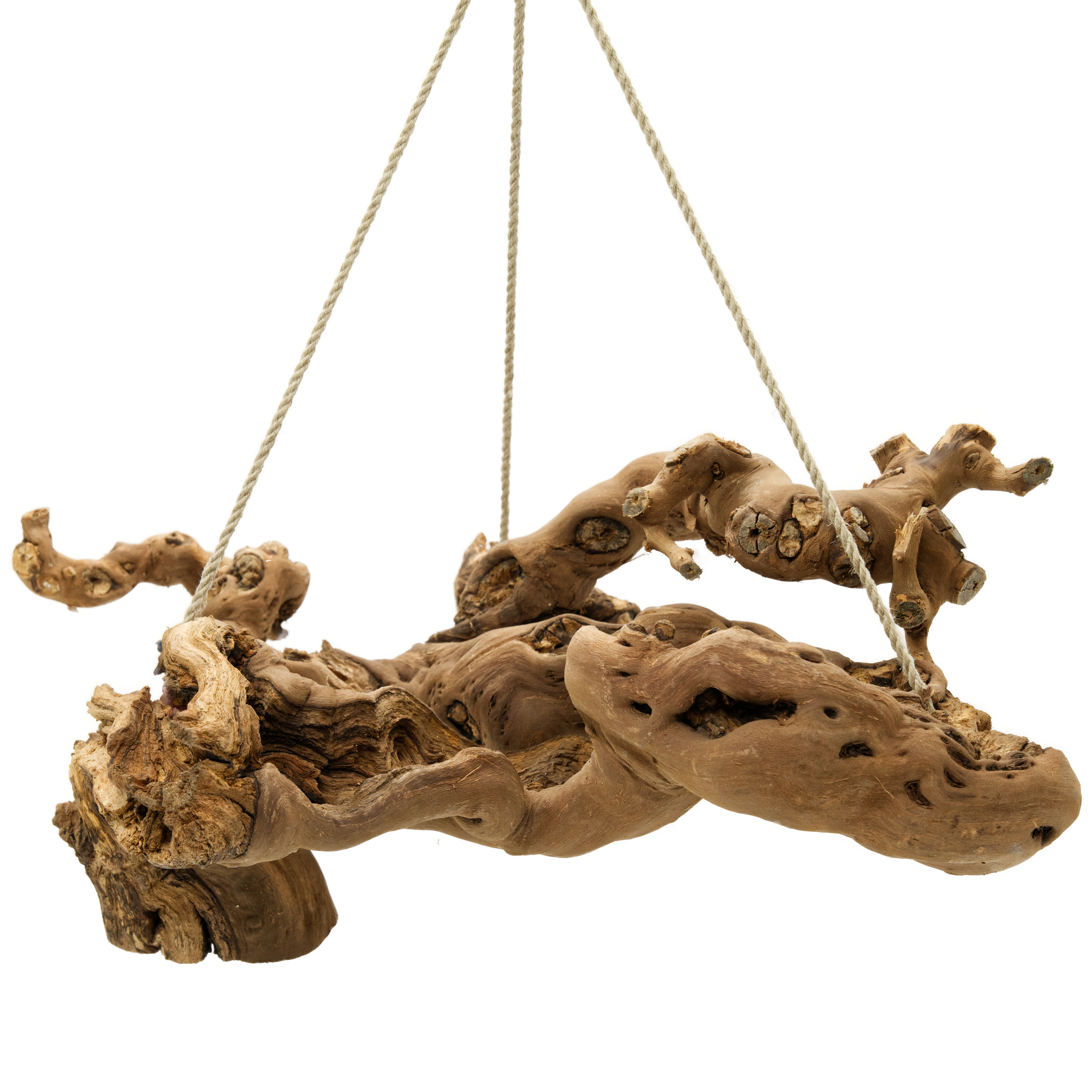 rebknuddel_schaukel_fuer_voegel_koernerbude Rebknuddel Schaukel ca. 30 - 40 cm