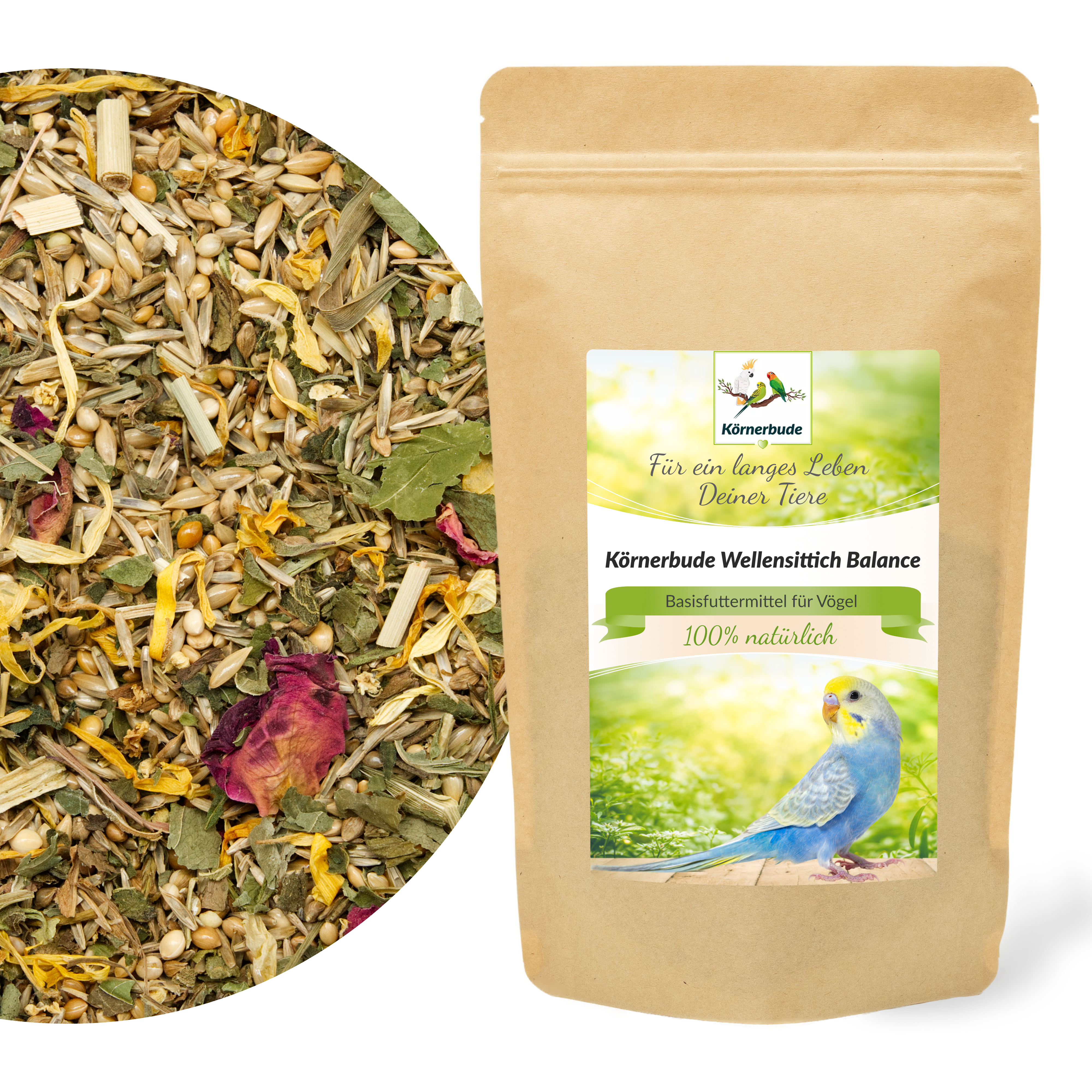 wellensittich_balance_koernerbude_wellensittichfutter