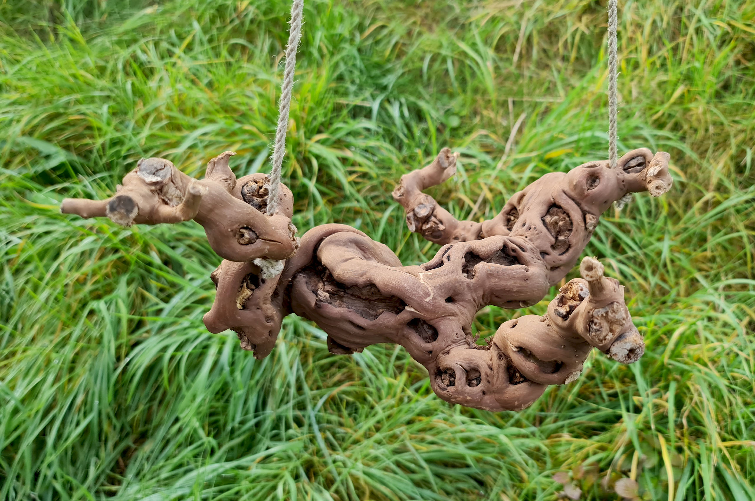 rebknuddelschaukel_arrcqyqM5cXq6b