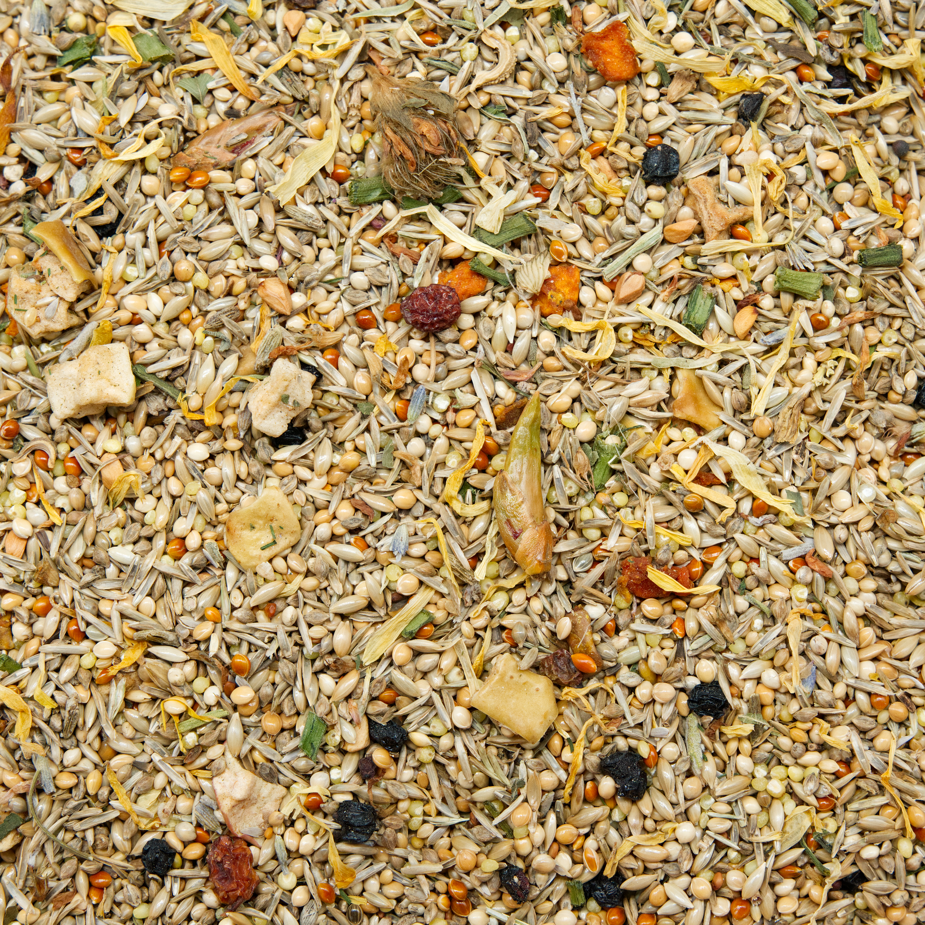 herbstmix_wellensittichfutter_koernerbude HerbstMIX 500g