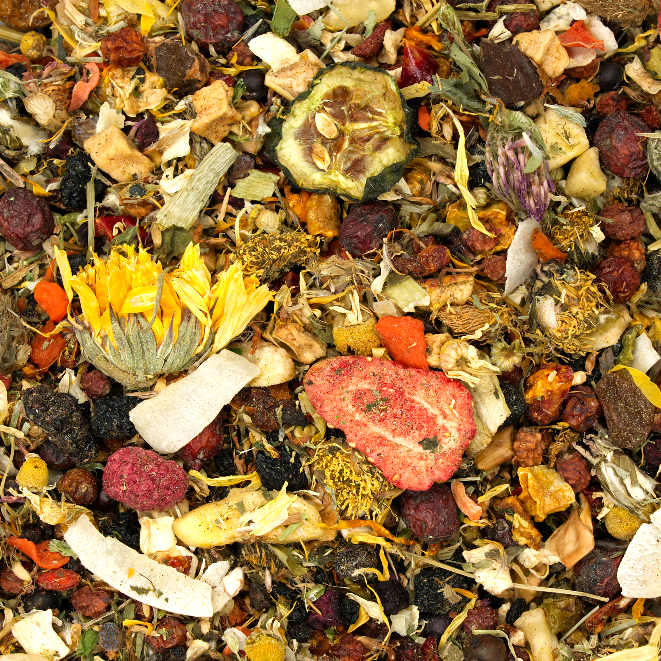 papageien_all_in_mix_papageien_schredderspass_koernerbude Papageien All-iN-MIX