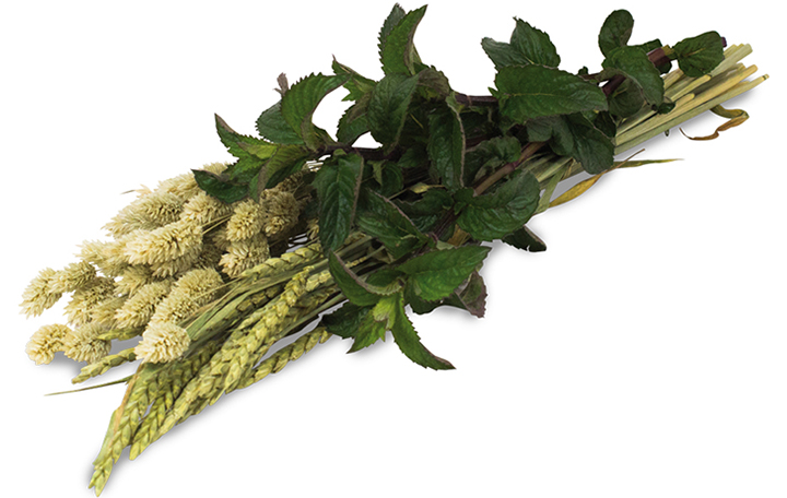 JR FARM Kräuter-Ernte 80g