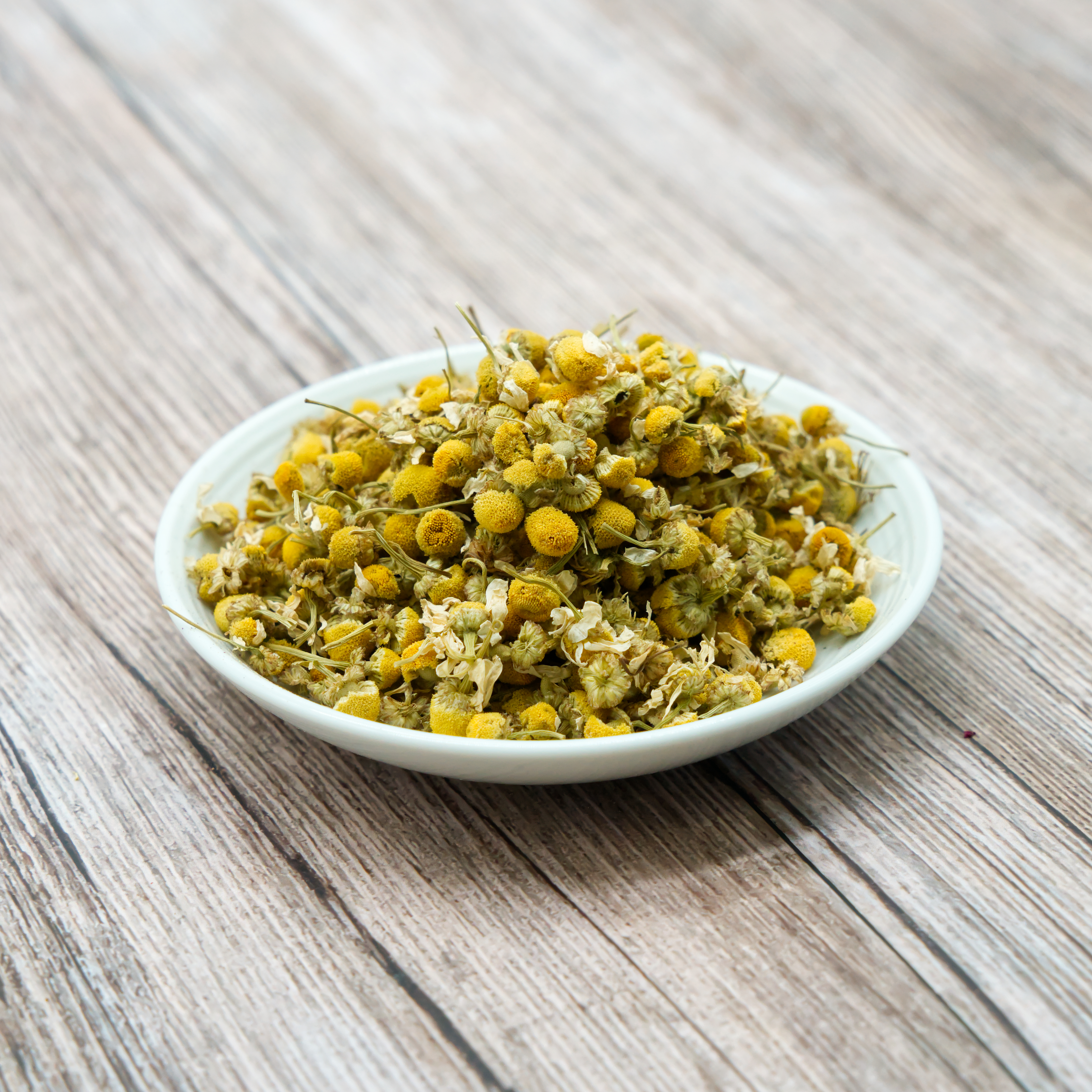 kamillenblueten-einzelfutter-fuer-voegel-koernerbude Kamillenblüten