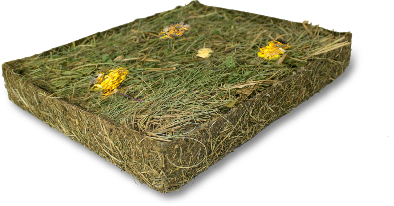 JR ESN Kräuterwiese mit Löwenzahn 750 g