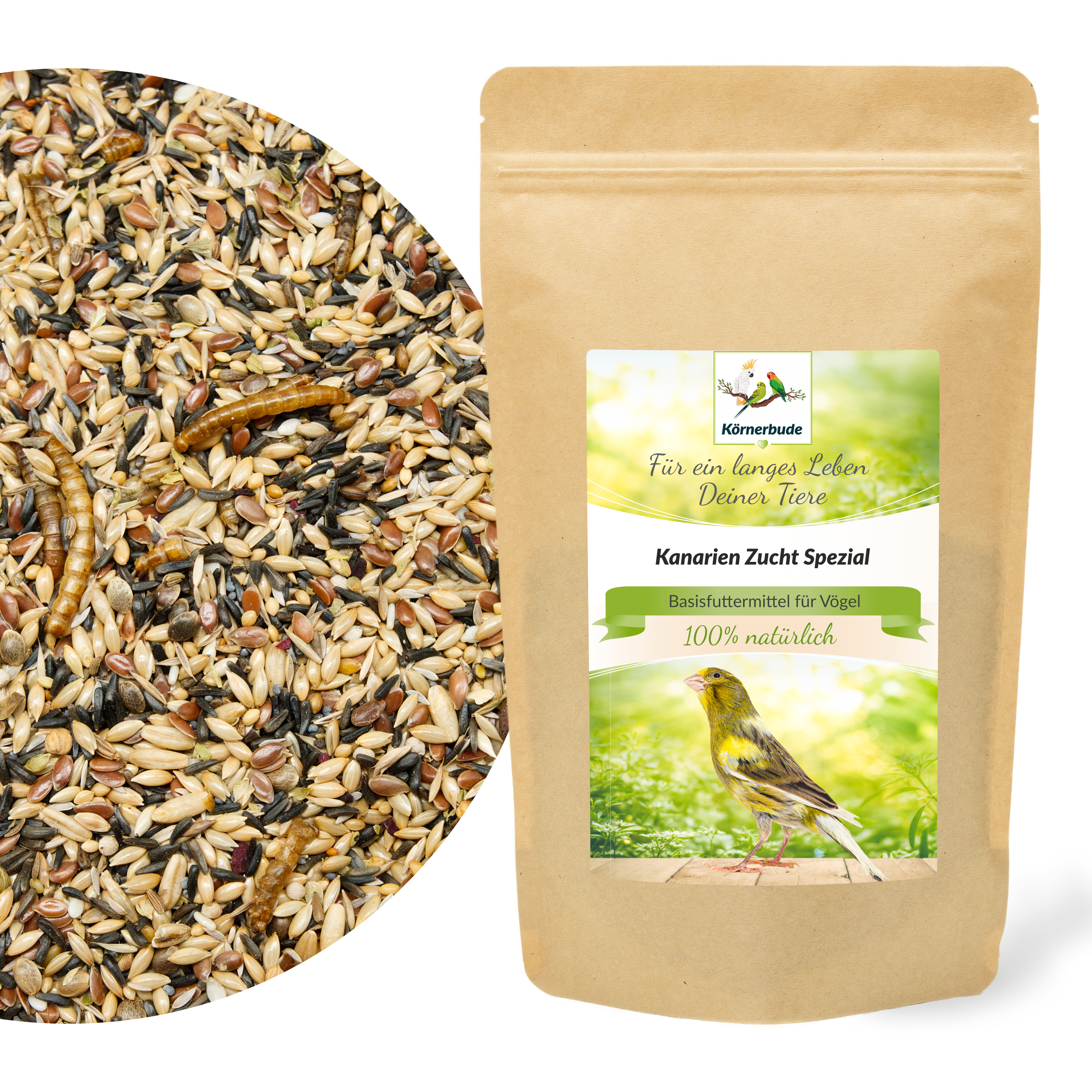 kanarien_zucht_spezial_kanarienfutter_koernerbude_shopbilder Kanarien Zucht Spezial