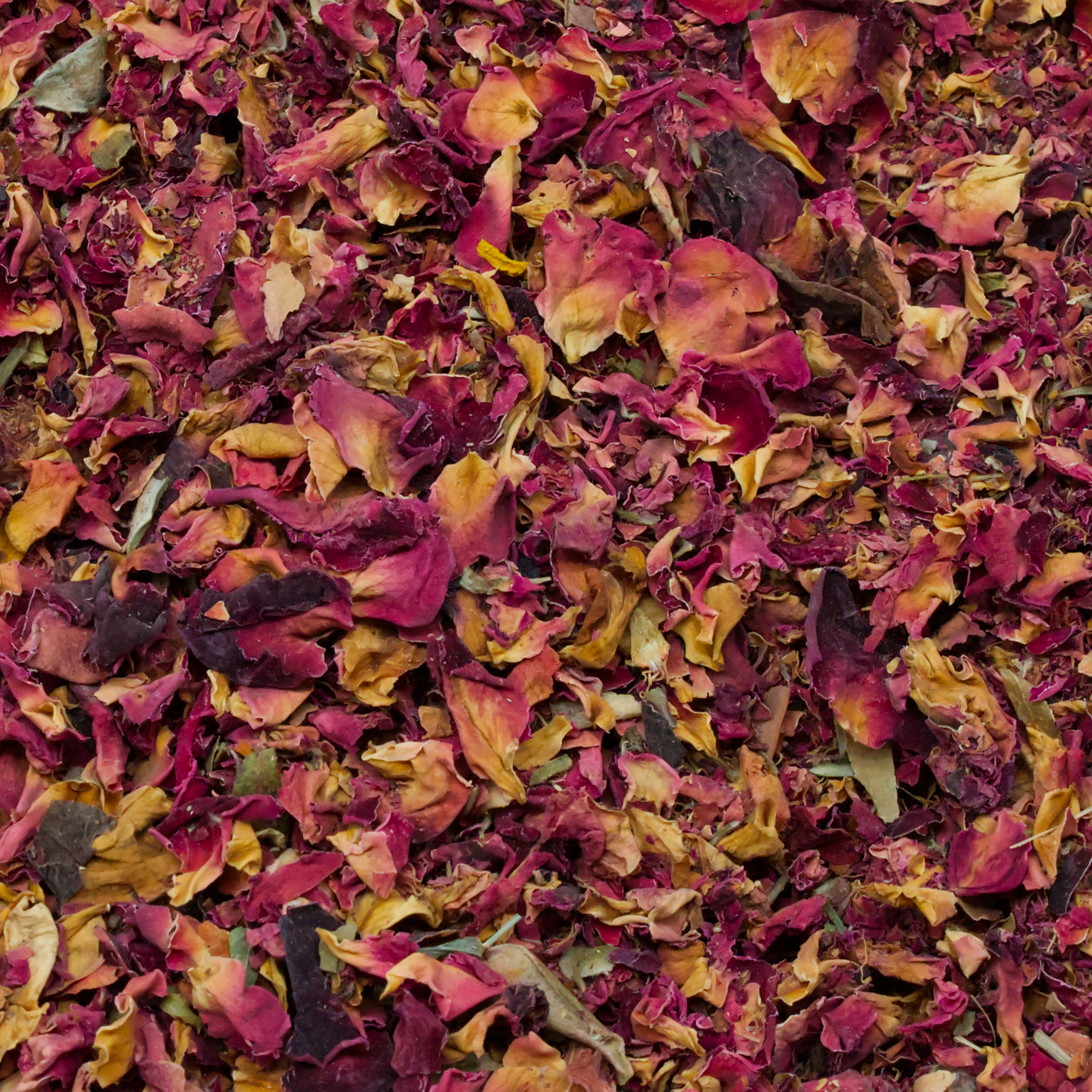 rosenblueten-einzelfutter-fuer-voegel-koernerbude1