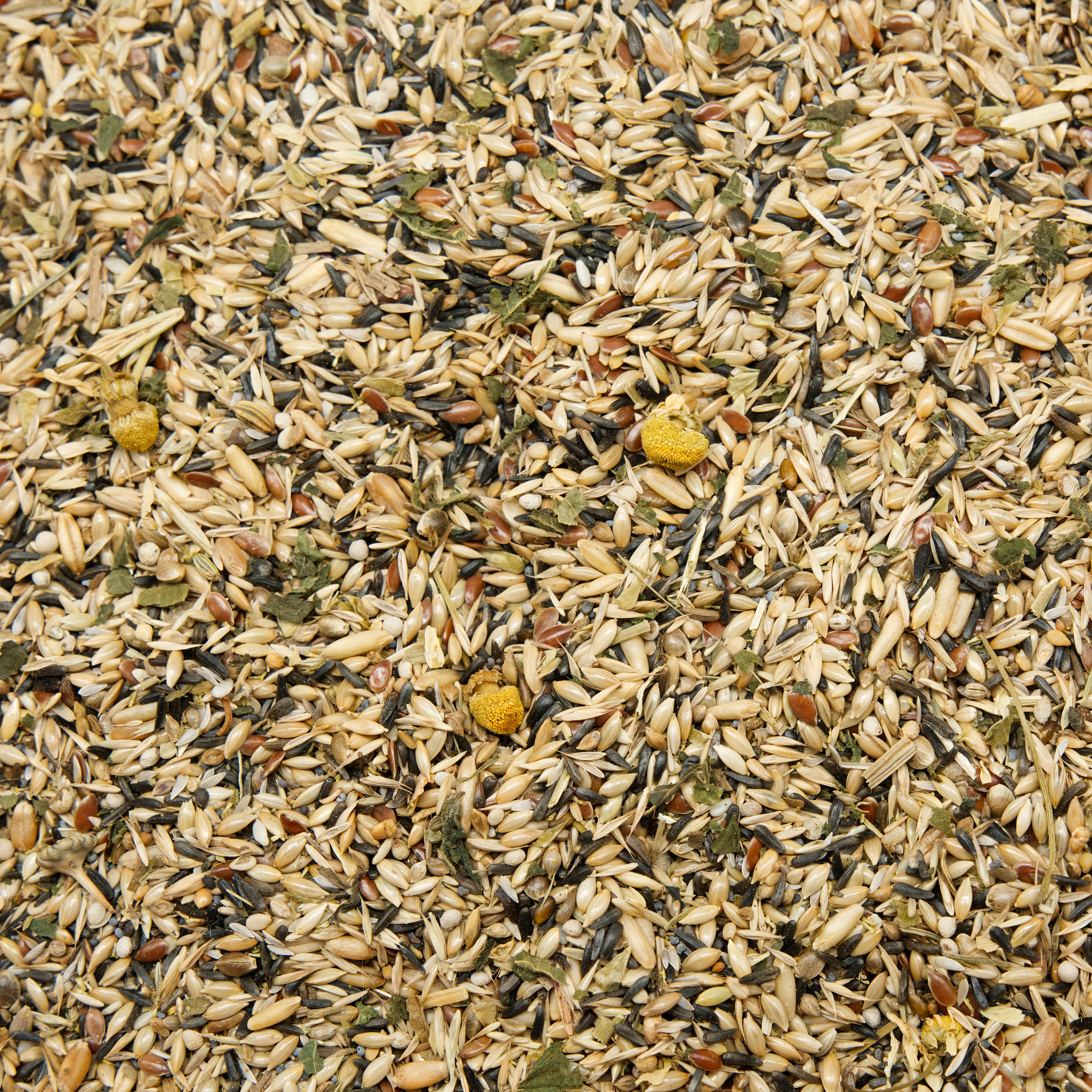 kanrien_kraeuter_spezial_kanarienfutter_koernerbude