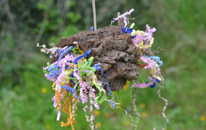 crushel_korkvqCFnm8lUKAo4