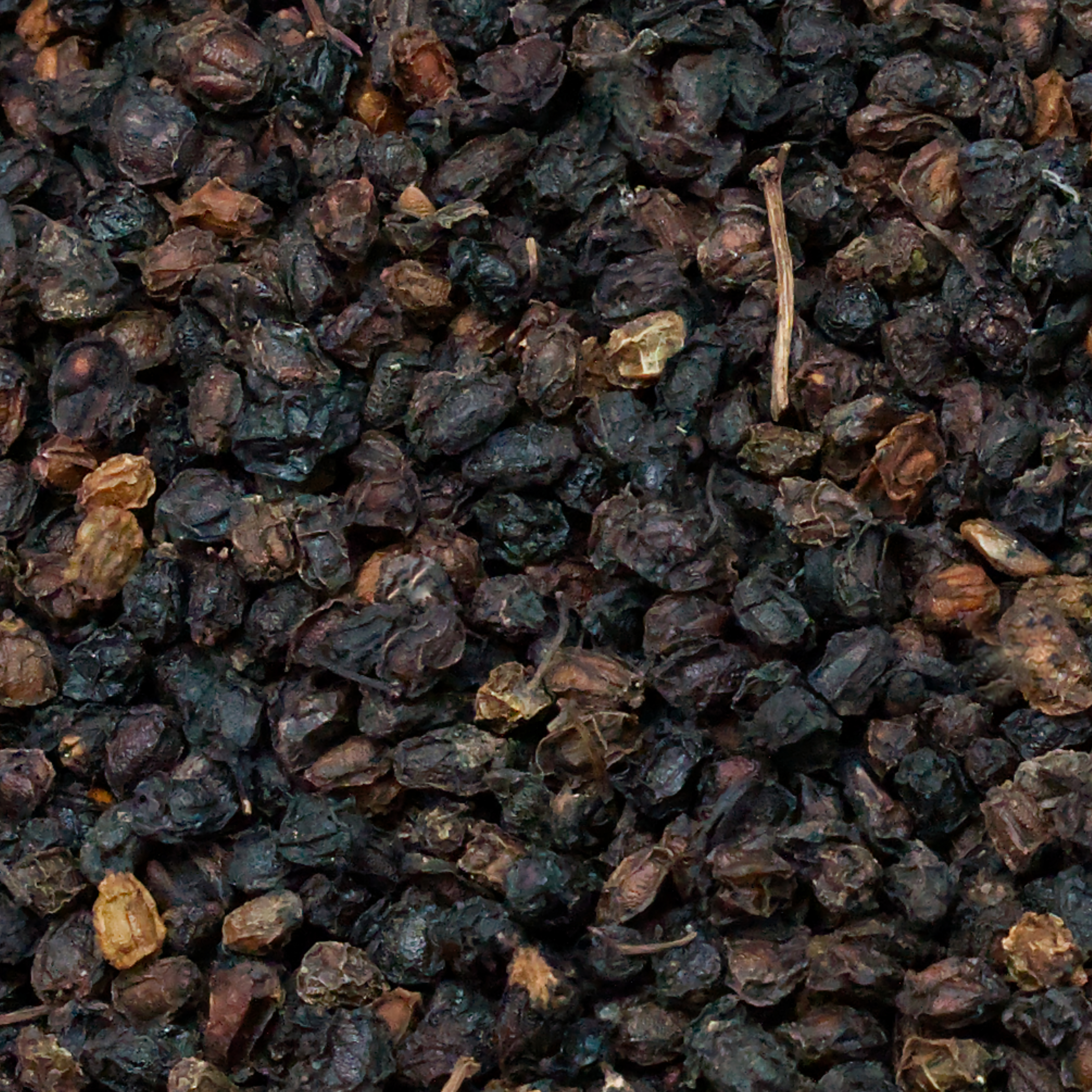 Holunderbeeren, getrocknet