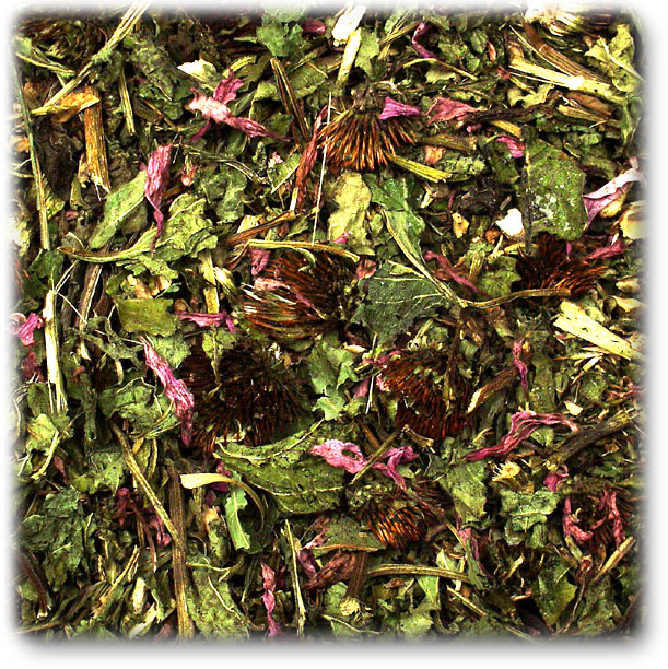 07087_2 JR Sonnenhut & Luzerne-Klee 100 g