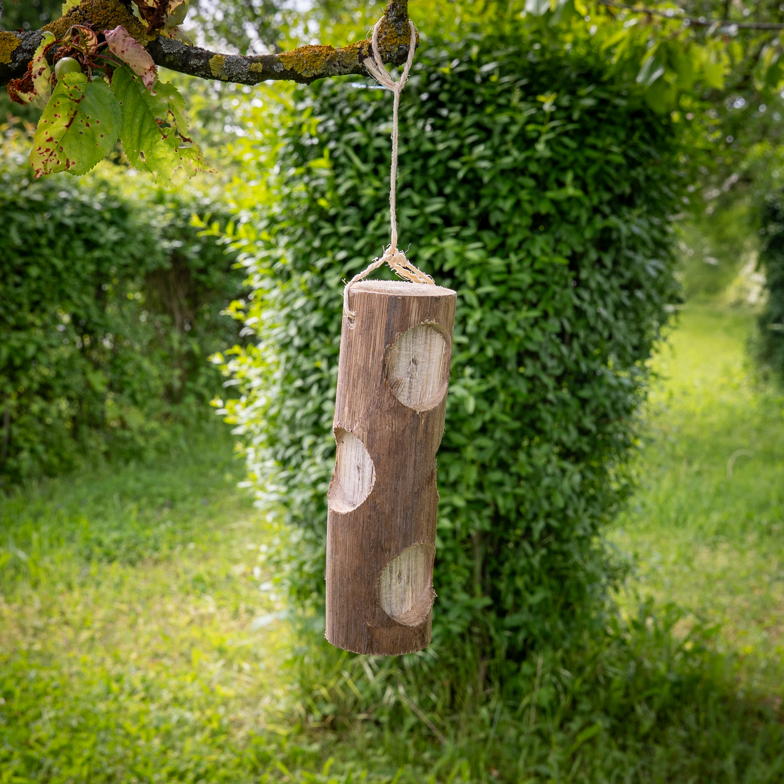 A7307939 Ole Bird Kabob