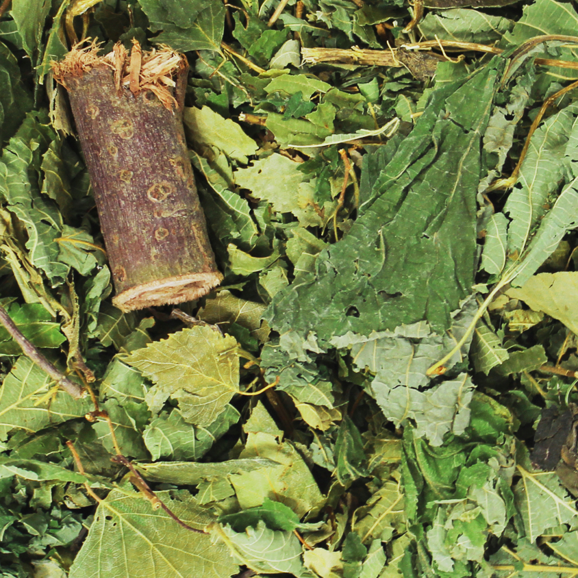 JR Waldgeheimnis 100 g