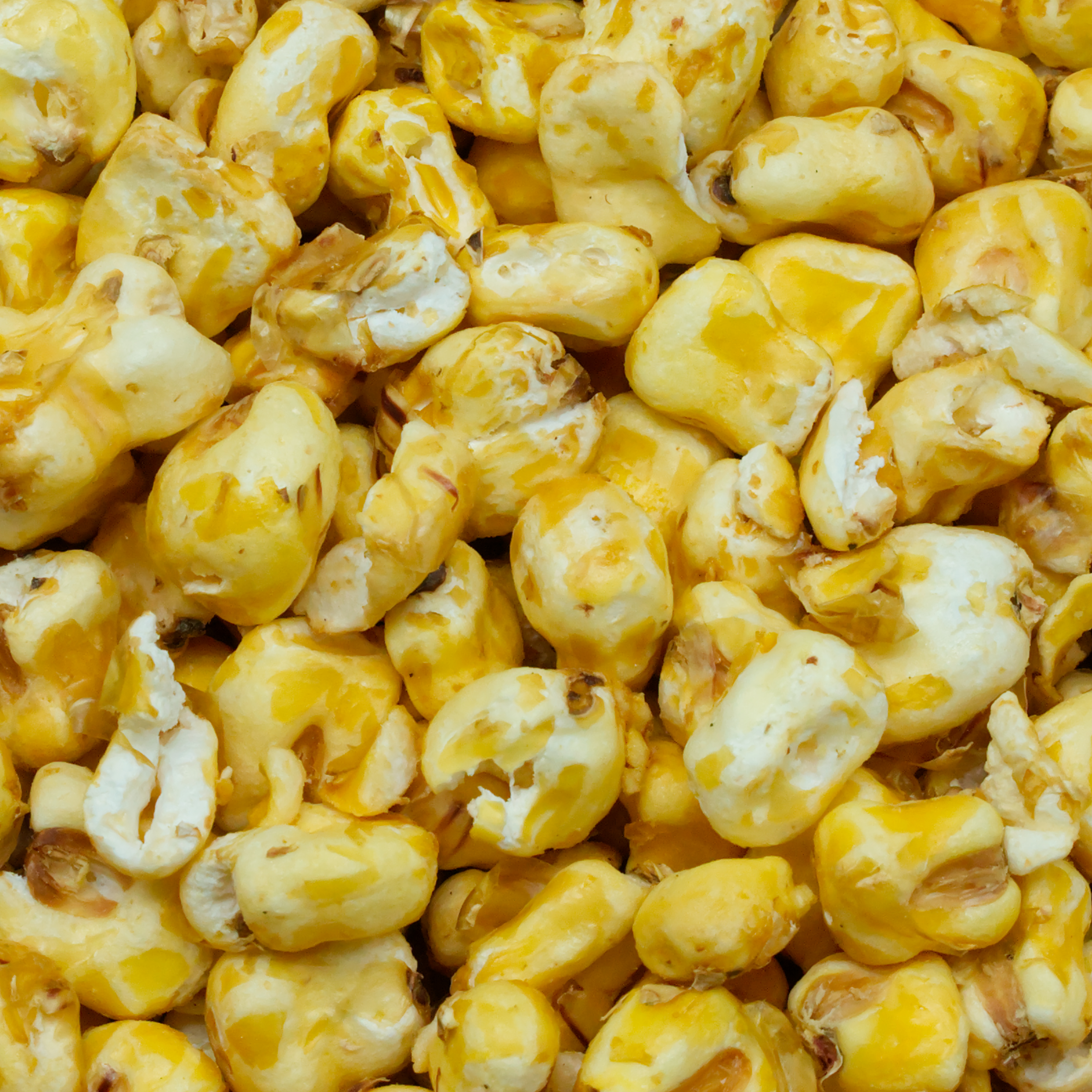 mais-gepufft-einzelfutter-fuer-voegel-koernerbude1 Mais, gepufft