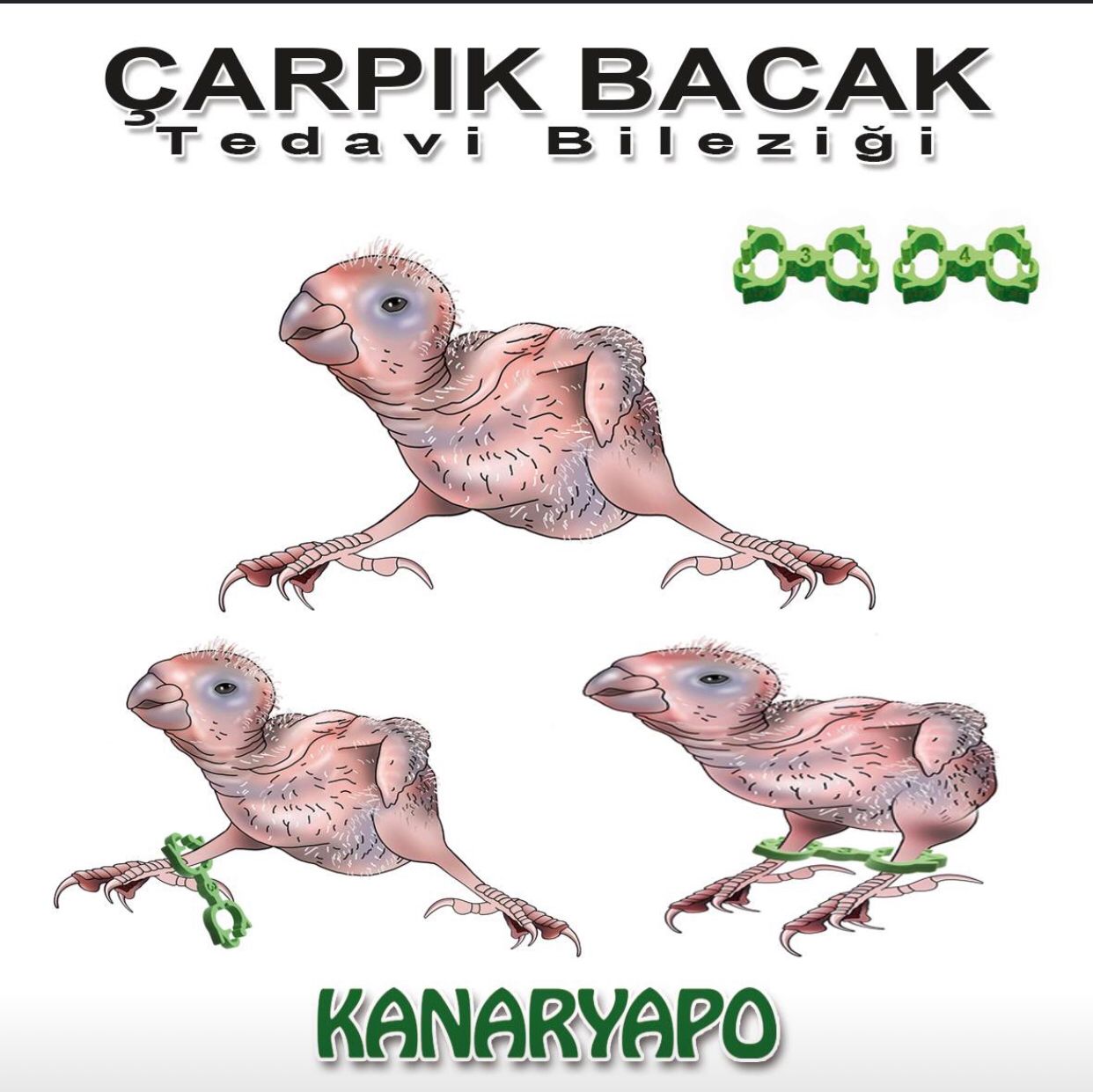 spreizbeine_beschreibung