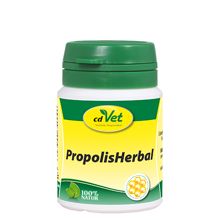 image_2100_1 Propolis Herbal, 20g