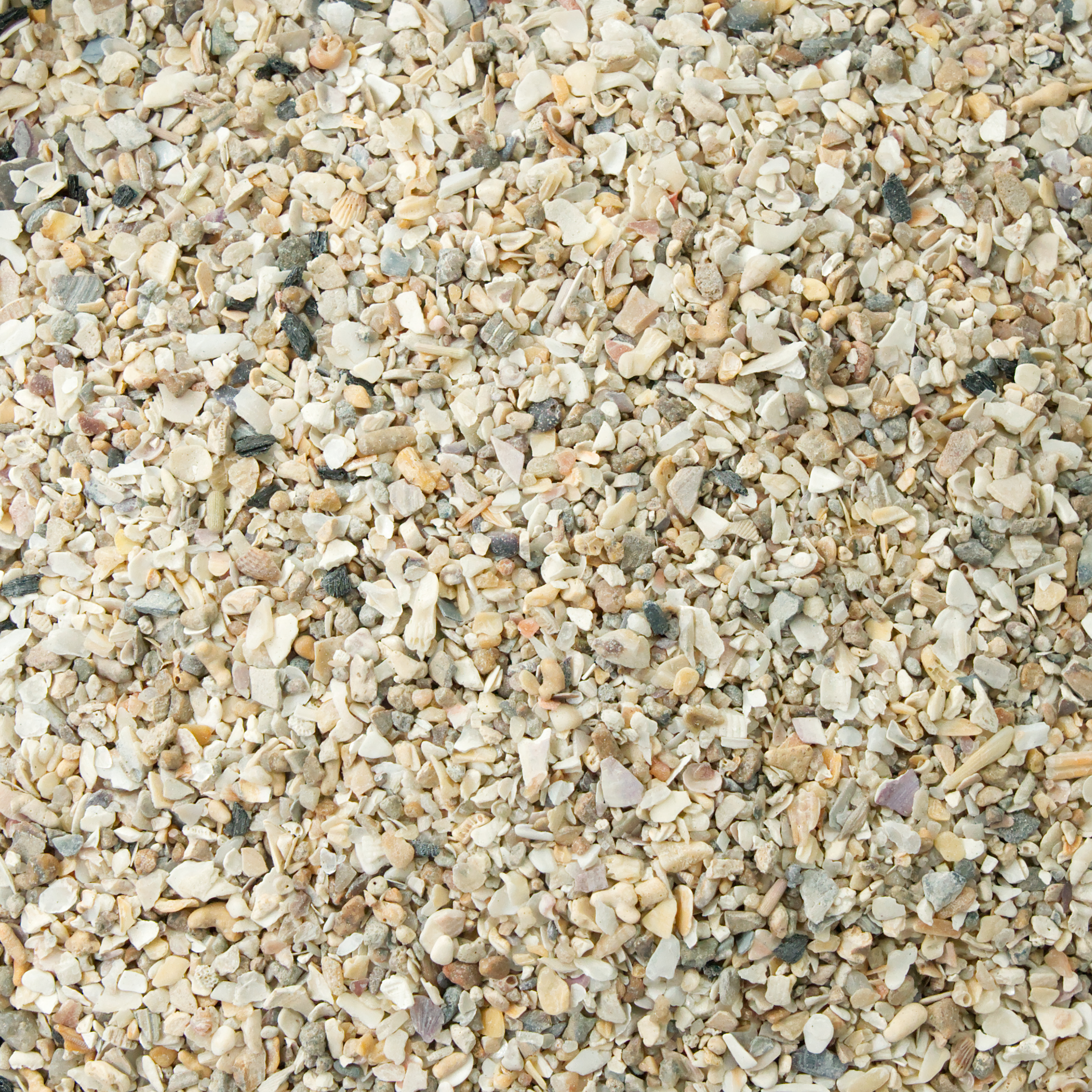 Pico Vogelgrit Dose 500g