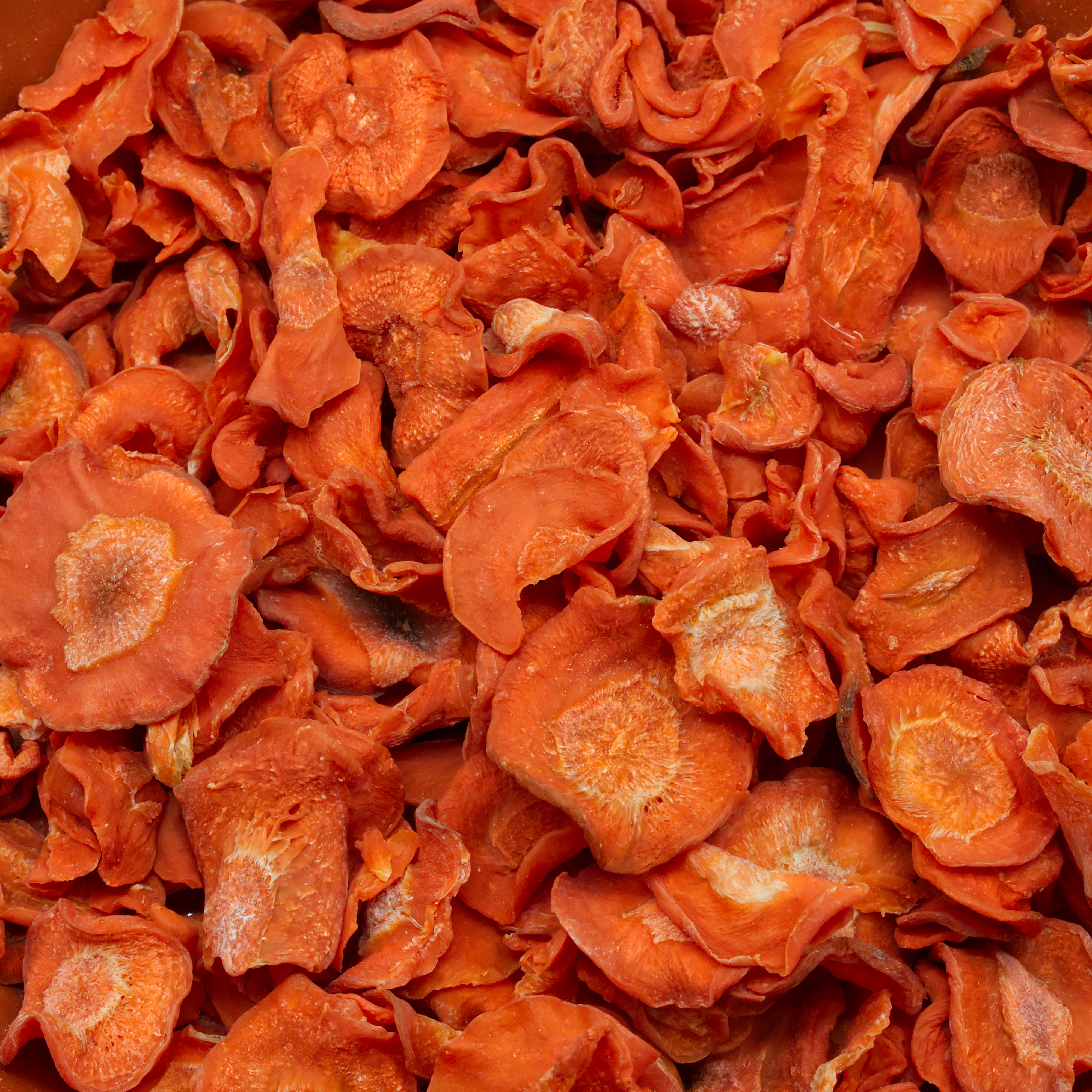 moehrenscheiben-einzelfutter-fuer-voegel-koernerbude1 Karottenscheiben getrocknet