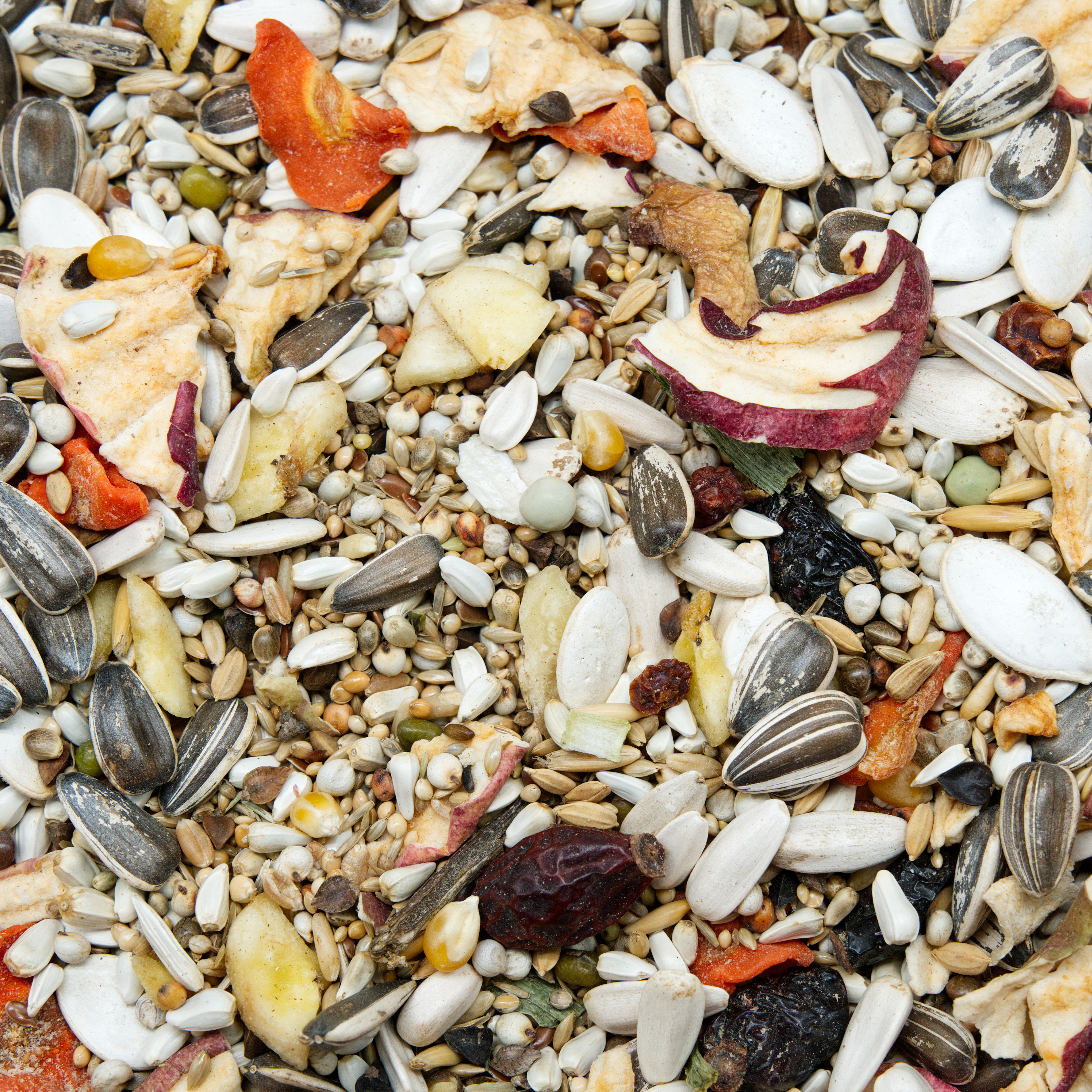 papageien_variant_obst_paapgeienfutter_amazonen_graupapageien_koernerbude