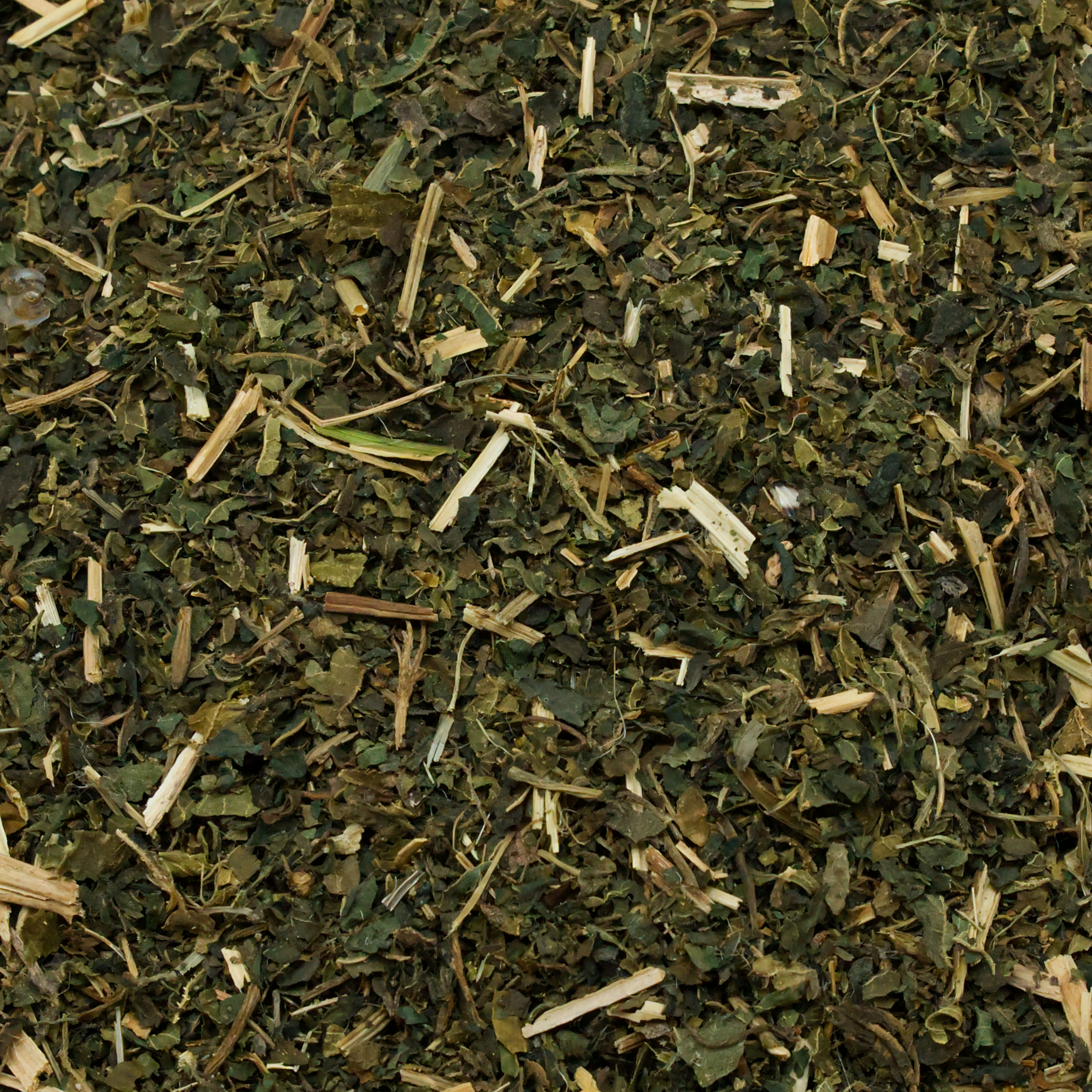 brennnessel-einzelfutter-fuer-voegel-koernerbude1 Brennnesselblätter getrocknet geschnitten