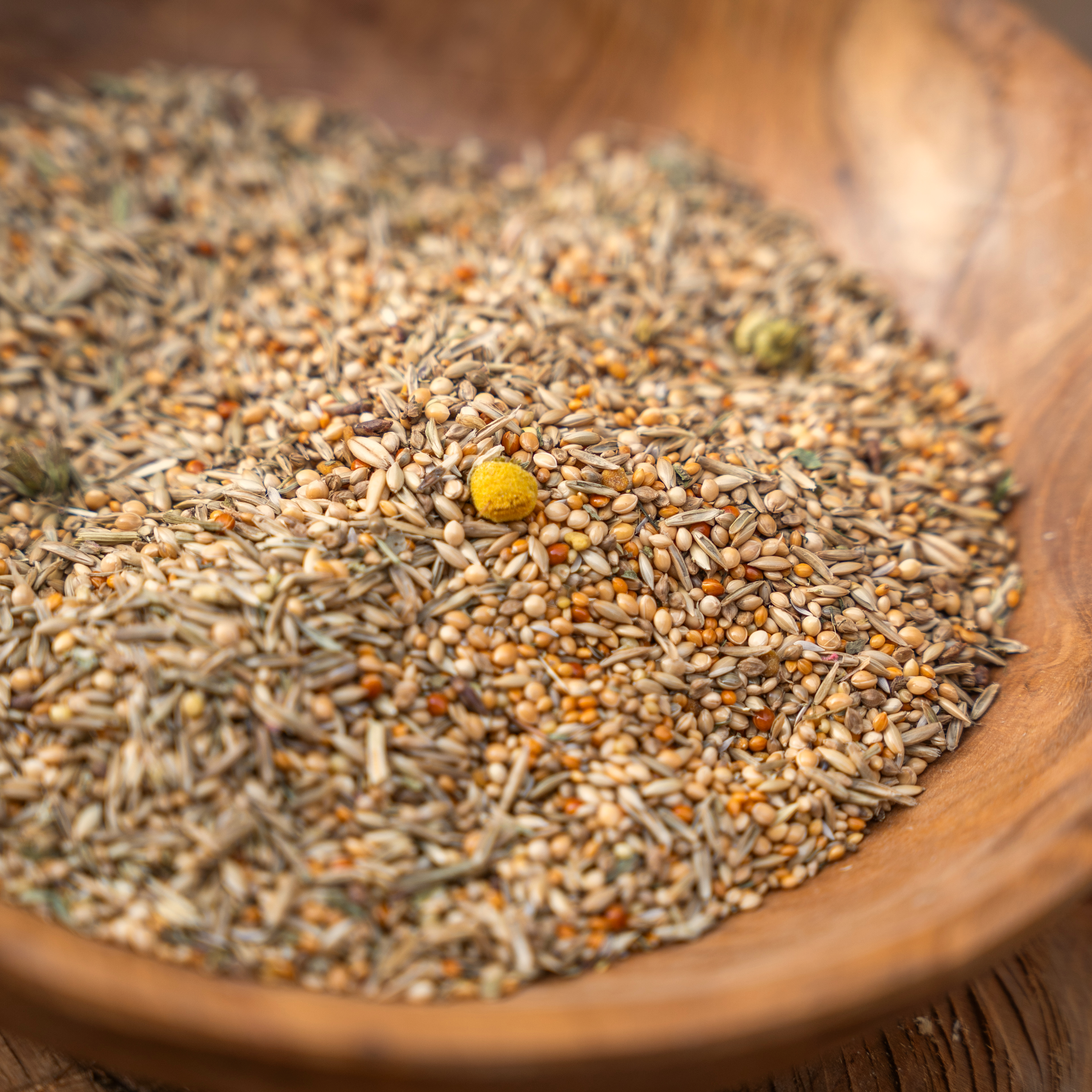 wellensittichfutter-mit-kraeutern-kraeuterwohlBoHEGCOepnm7Y Wellensittich Kräuterwohl