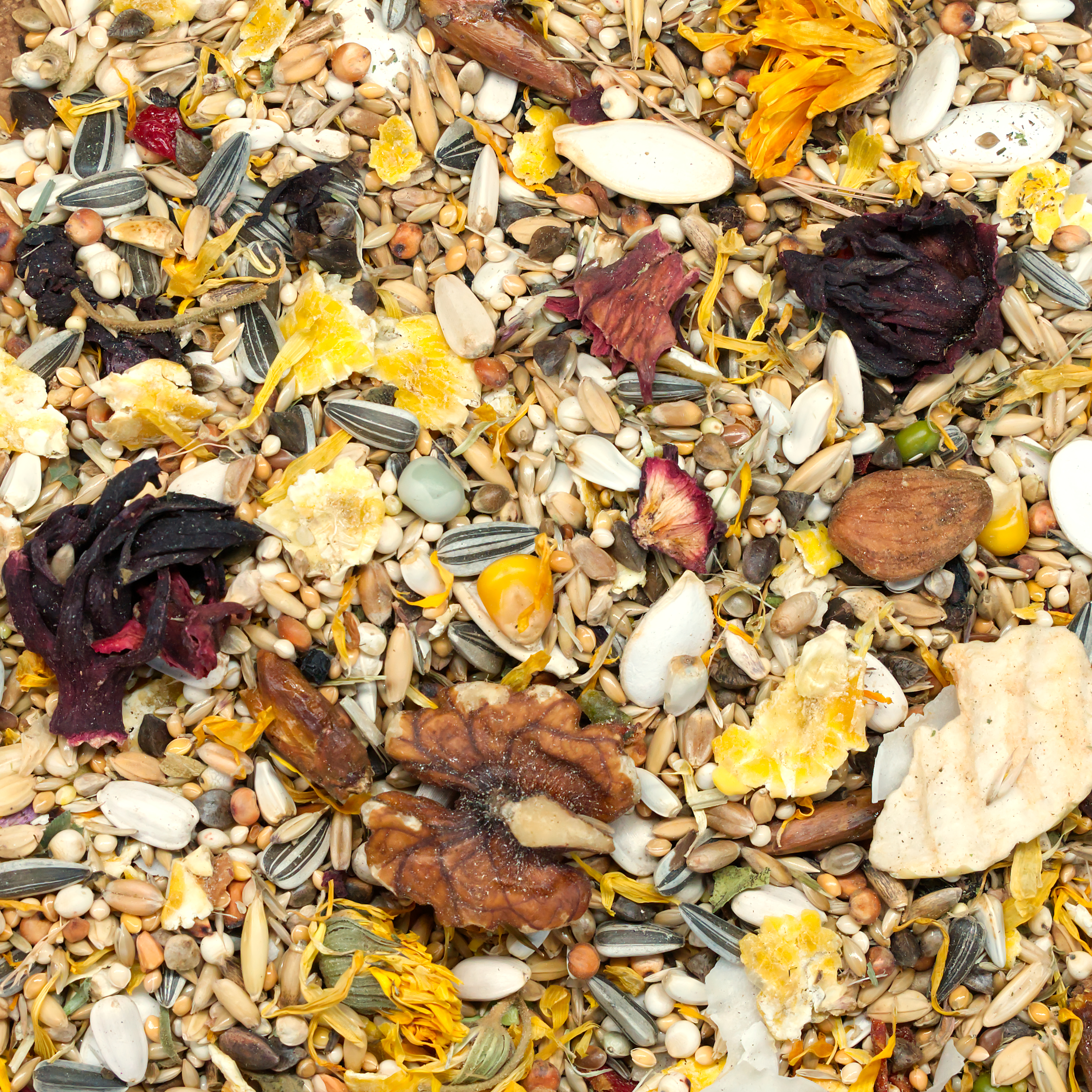 aramix_spezial_arafutter_koernerbudecSZQNSKYLfoLf