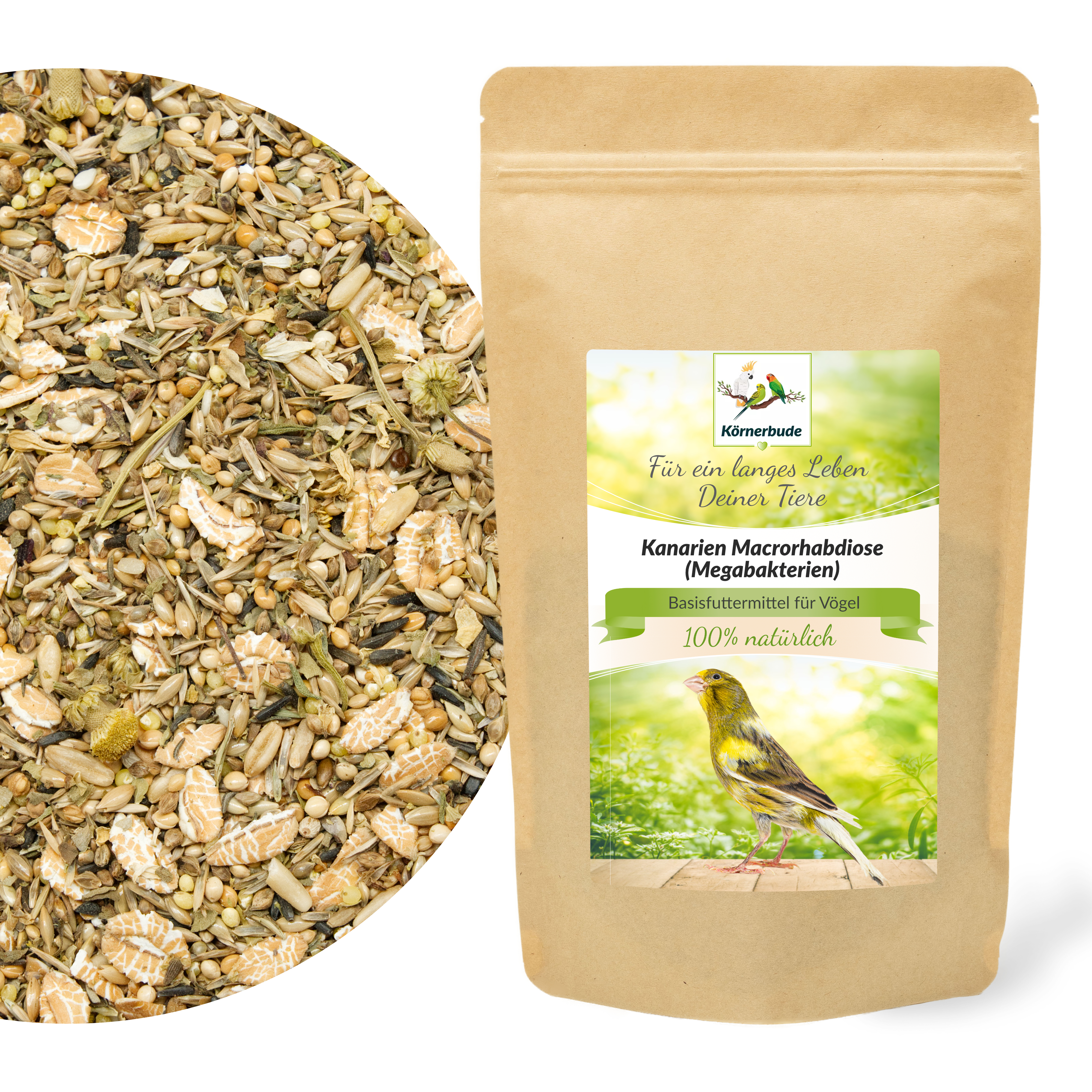 Kanarien Macrorhabdiose (Megabakterien)