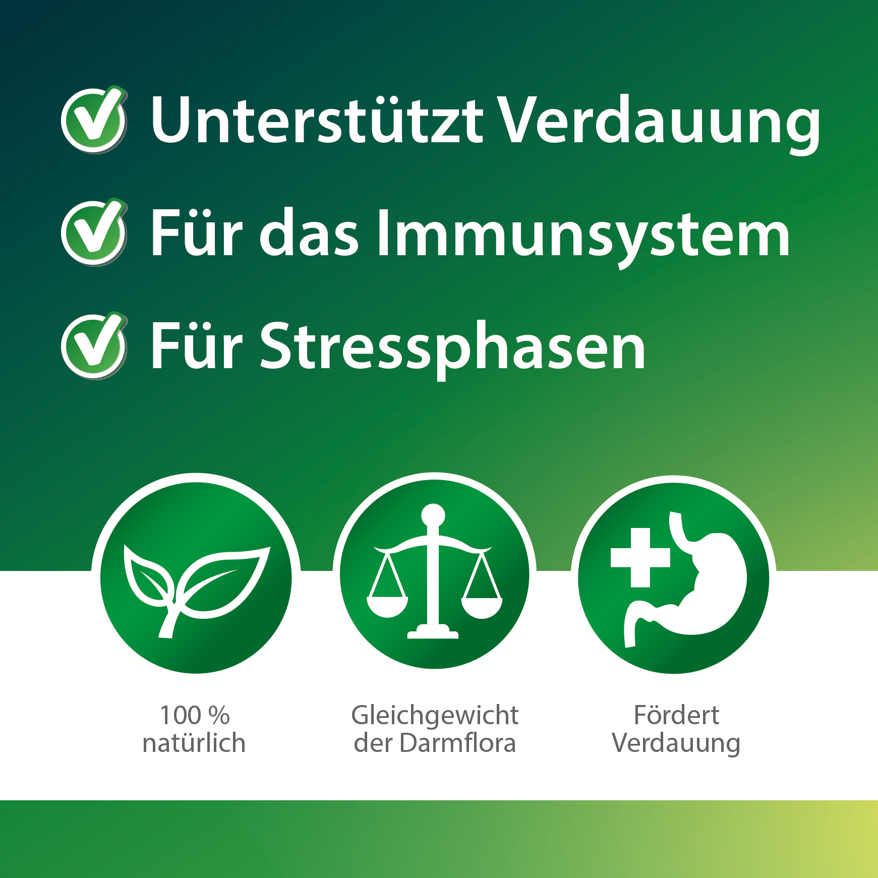 11428_Darmwohl_250ml_V9_10_21_Bild6