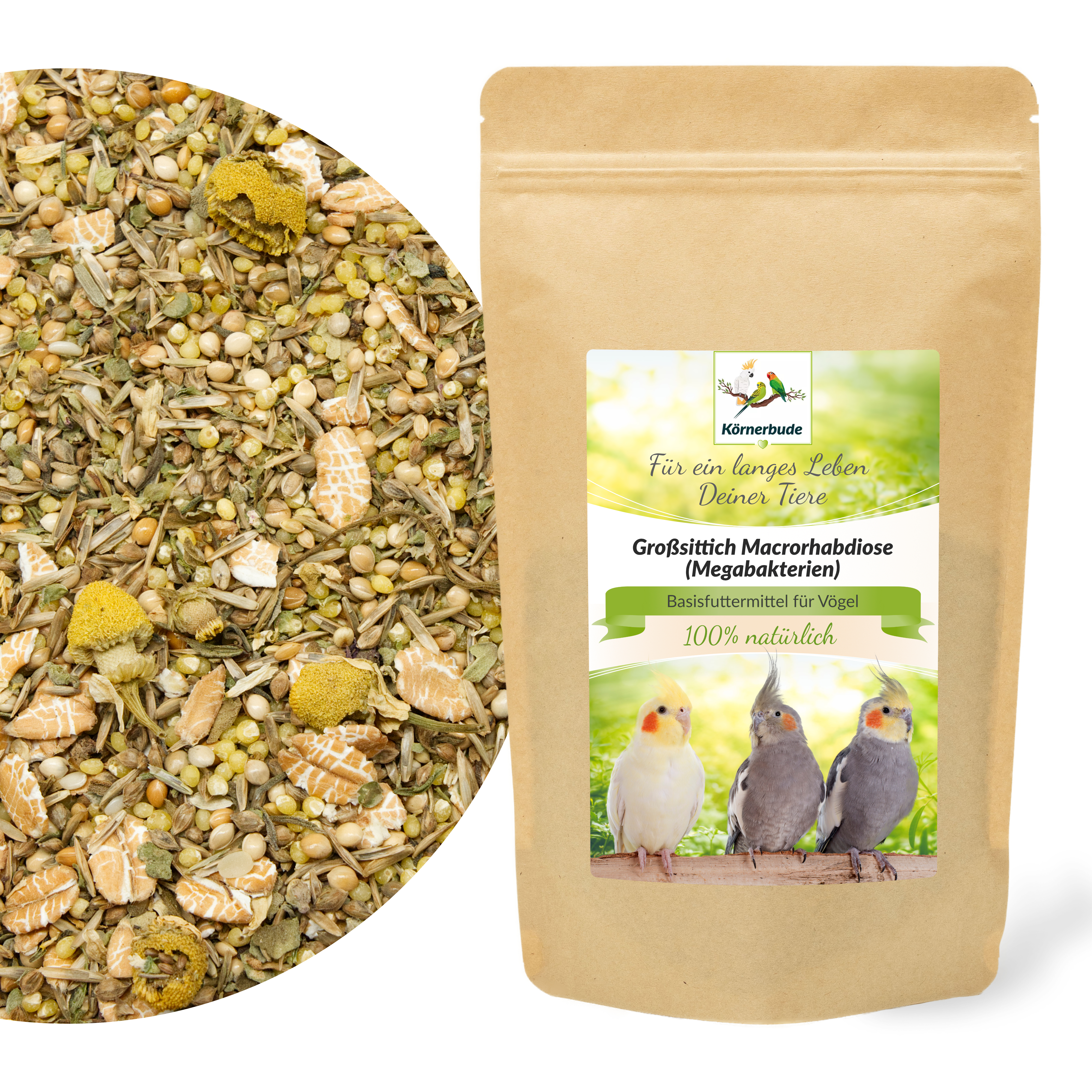 grosssittich_megabakterien_macrorhabdiose_vogelfutter_koernerbude_shop Großsittich Macrorhabdiose (Megabakterien)