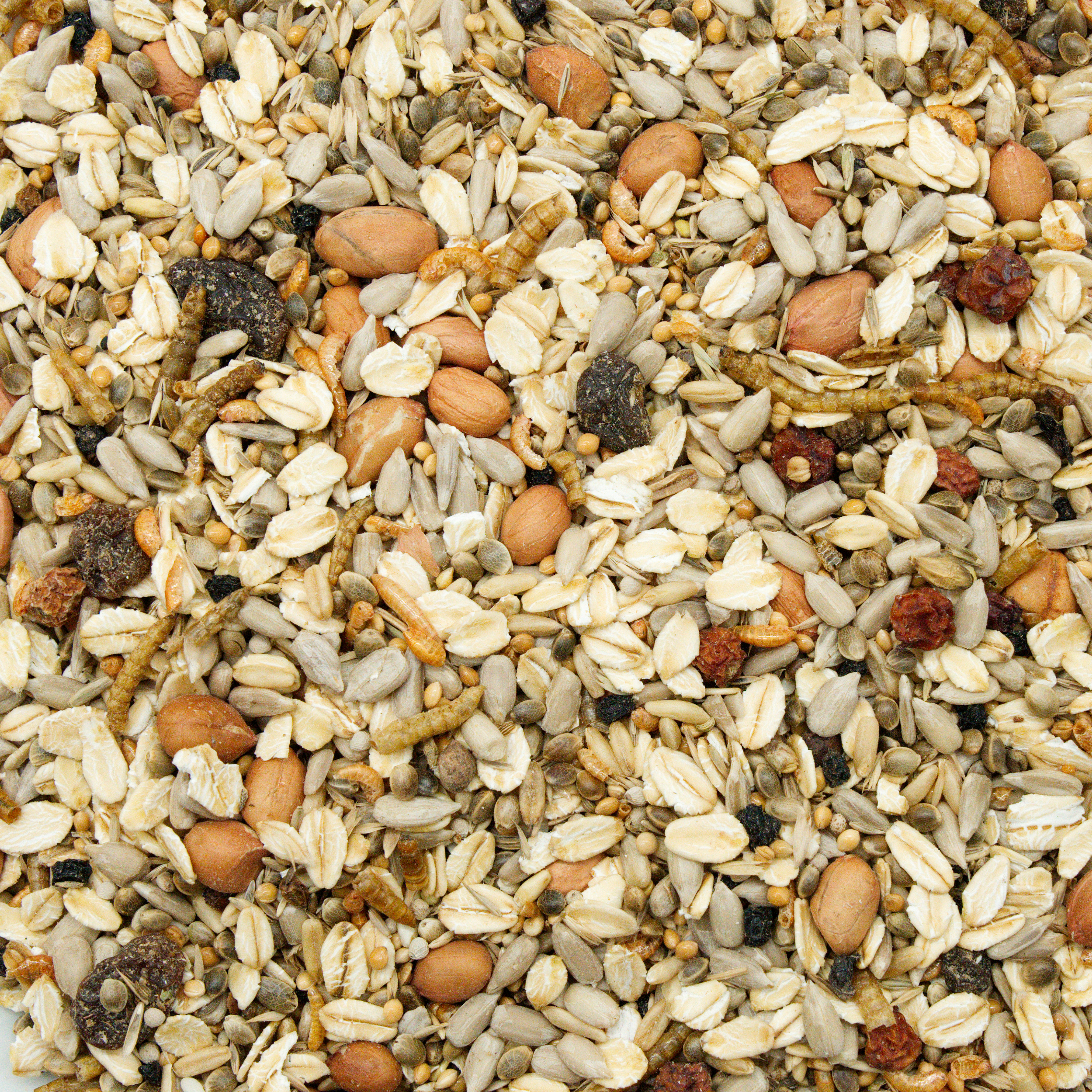 wildvogel_gourmet_schalenlos